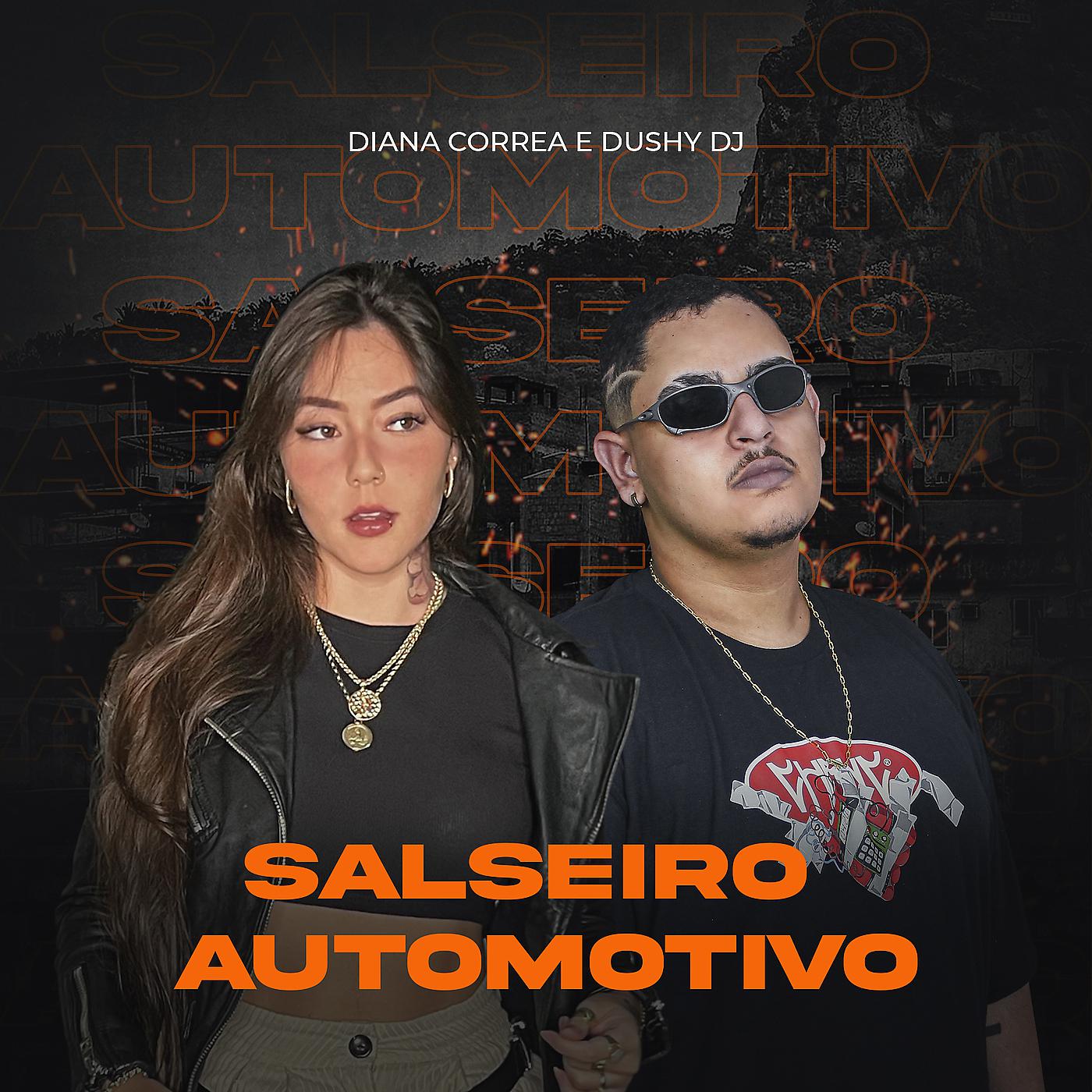 Постер альбома Salseiro Automotivo