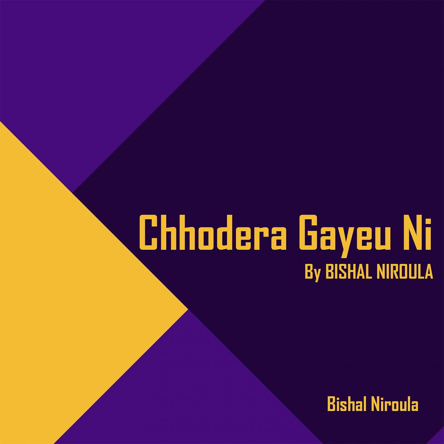 Постер альбома Chhodera Gayeu Ni