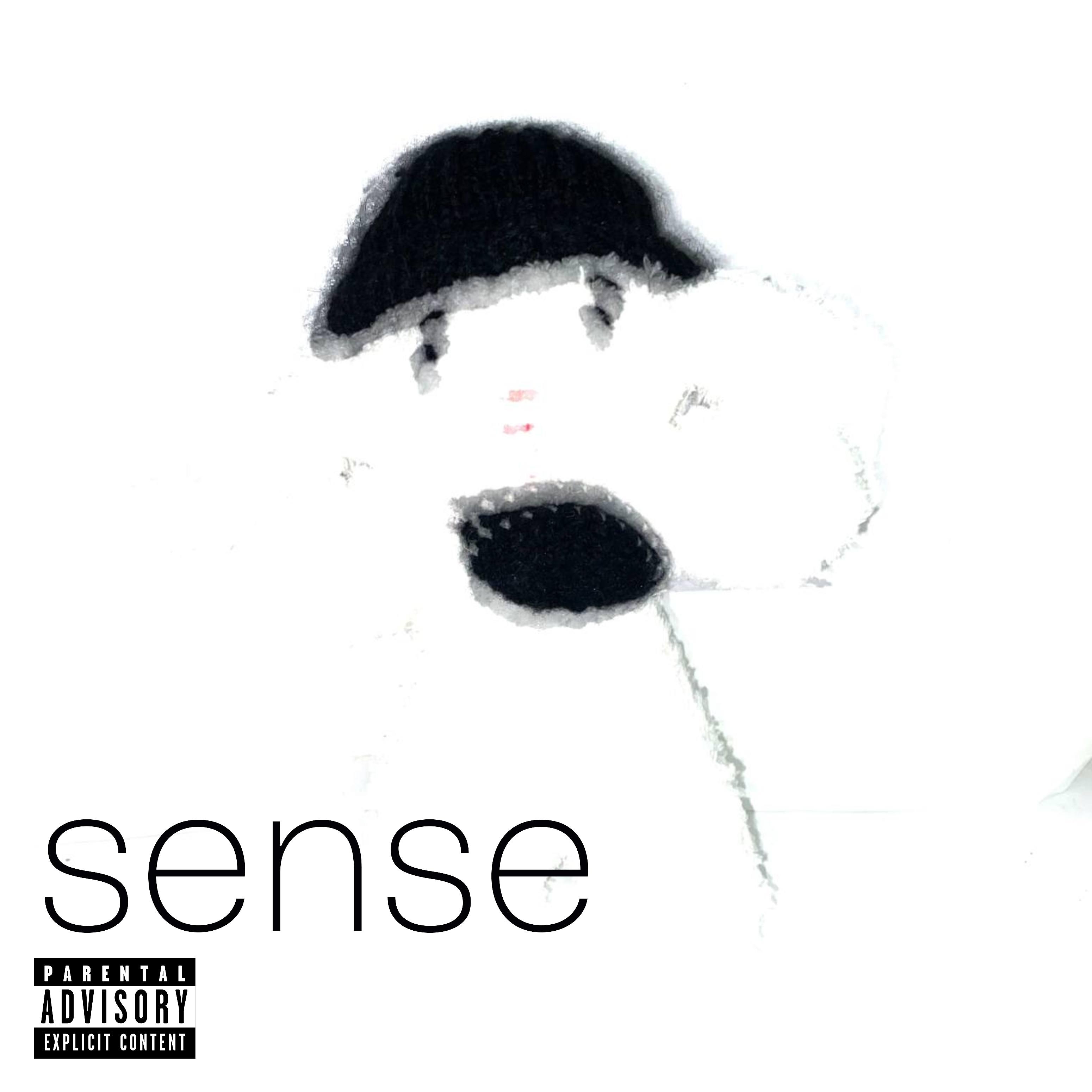Постер альбома Sense