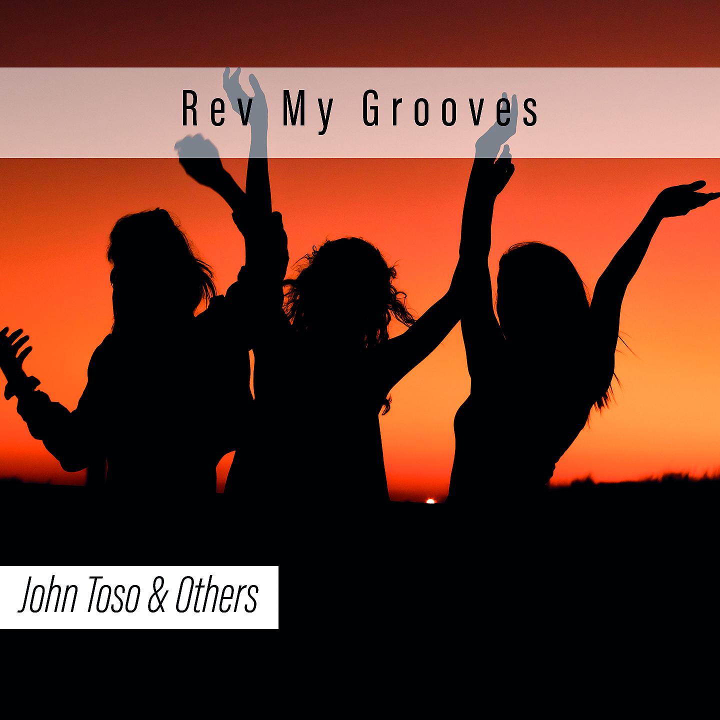 Постер альбома Rev. My Grooves