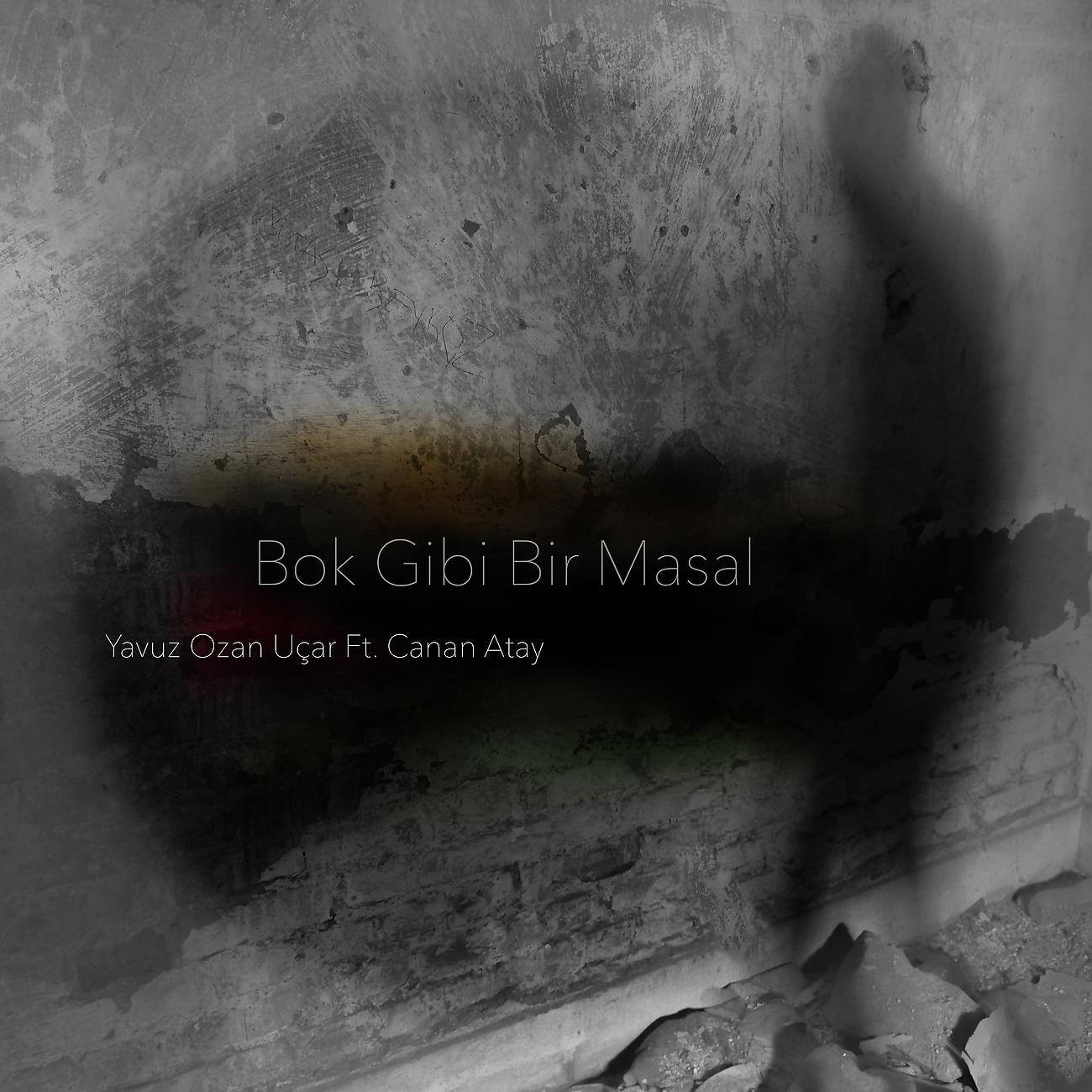Постер альбома Bok Gibi Bir Masal