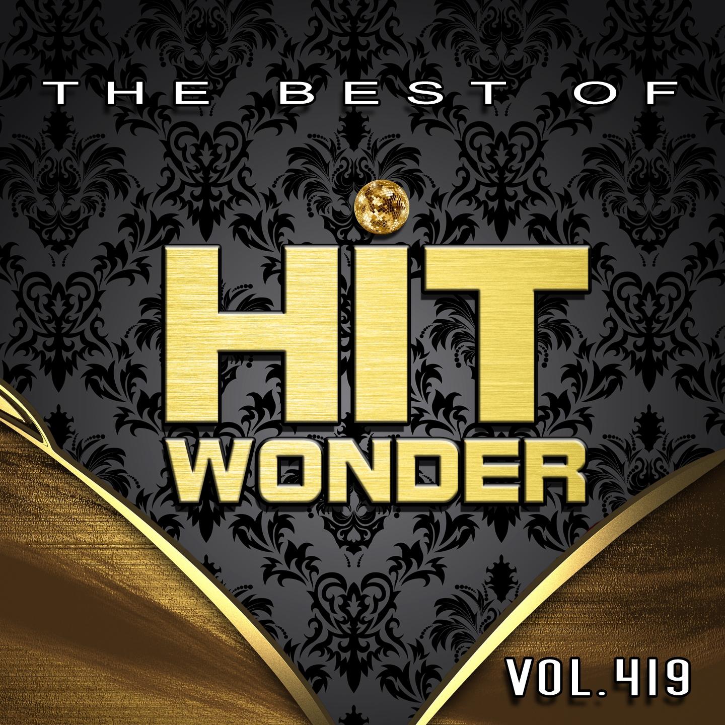 Постер альбома Hit Wonder: The Best Of, Vol. 419