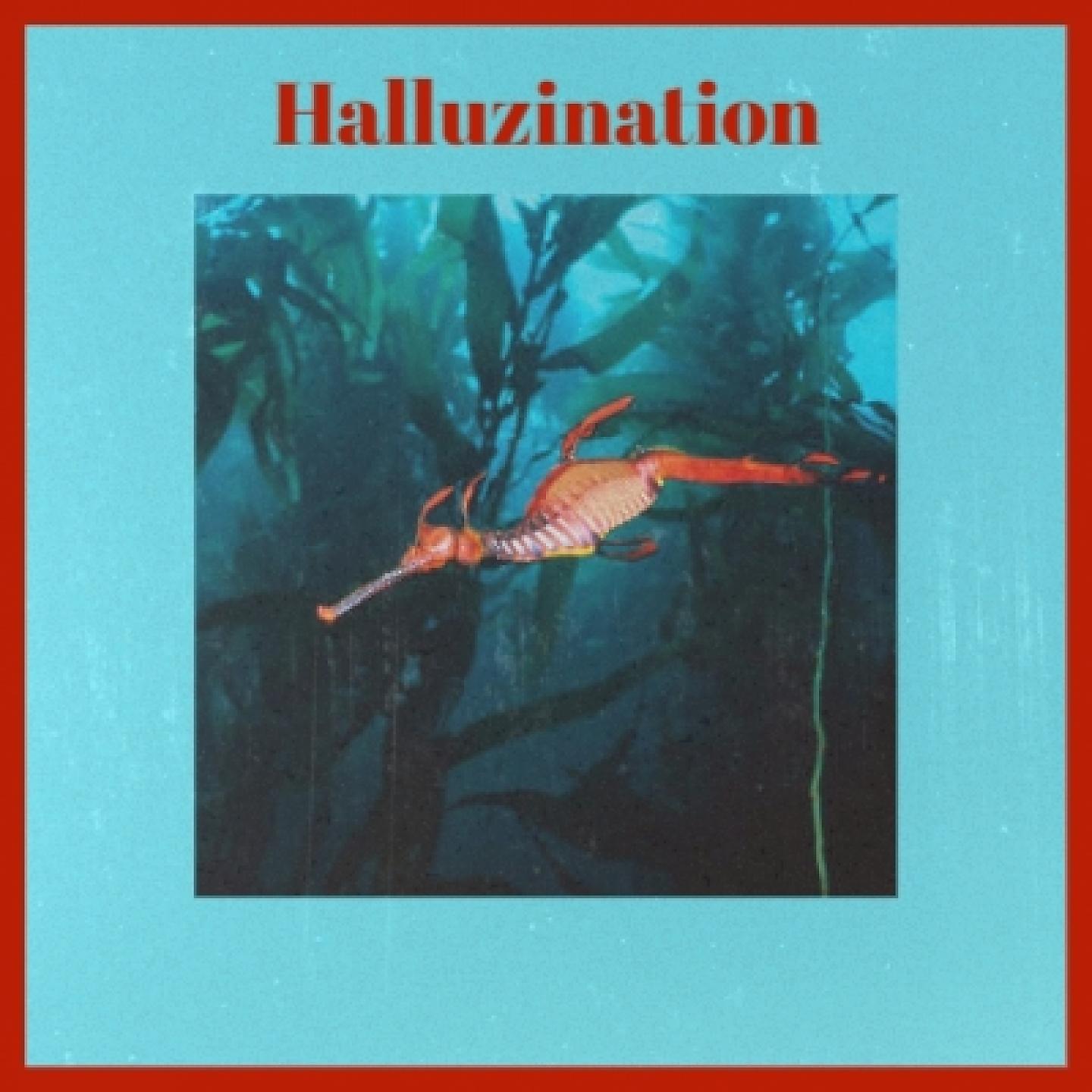 Постер альбома Halluzination
