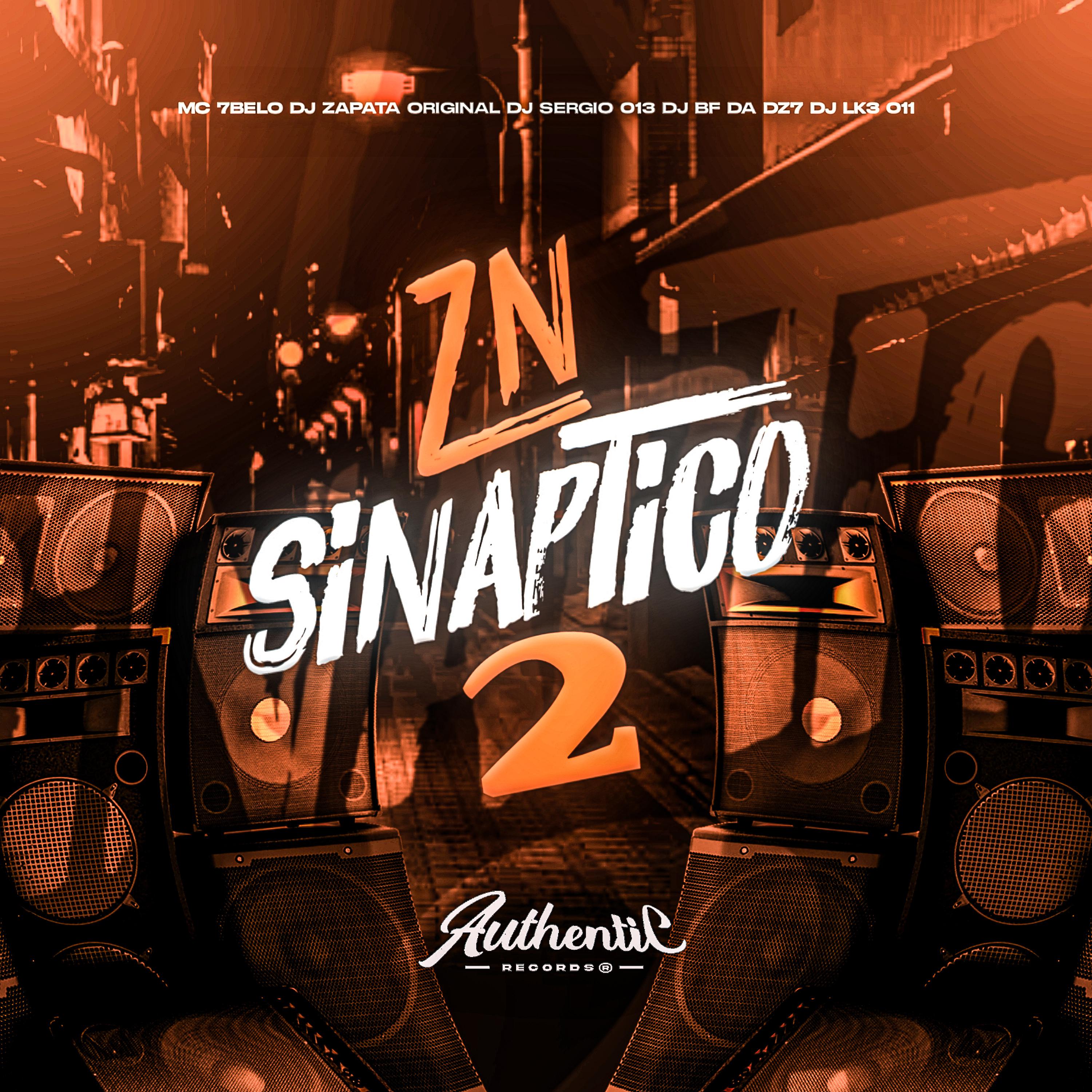 Постер альбома Zn Sinaptico 2