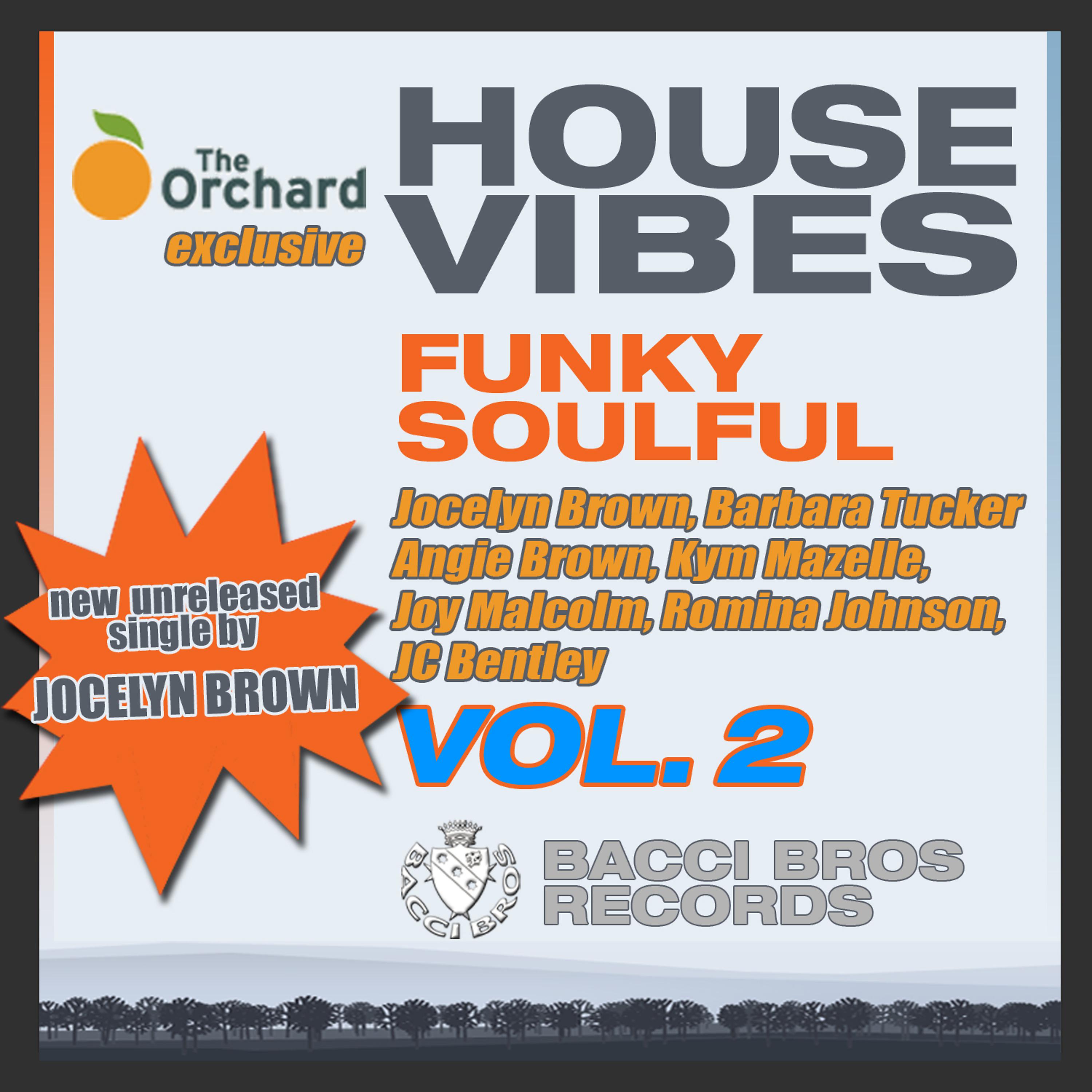 Постер альбома House Vibes - Funky Soulful, Vol. 2