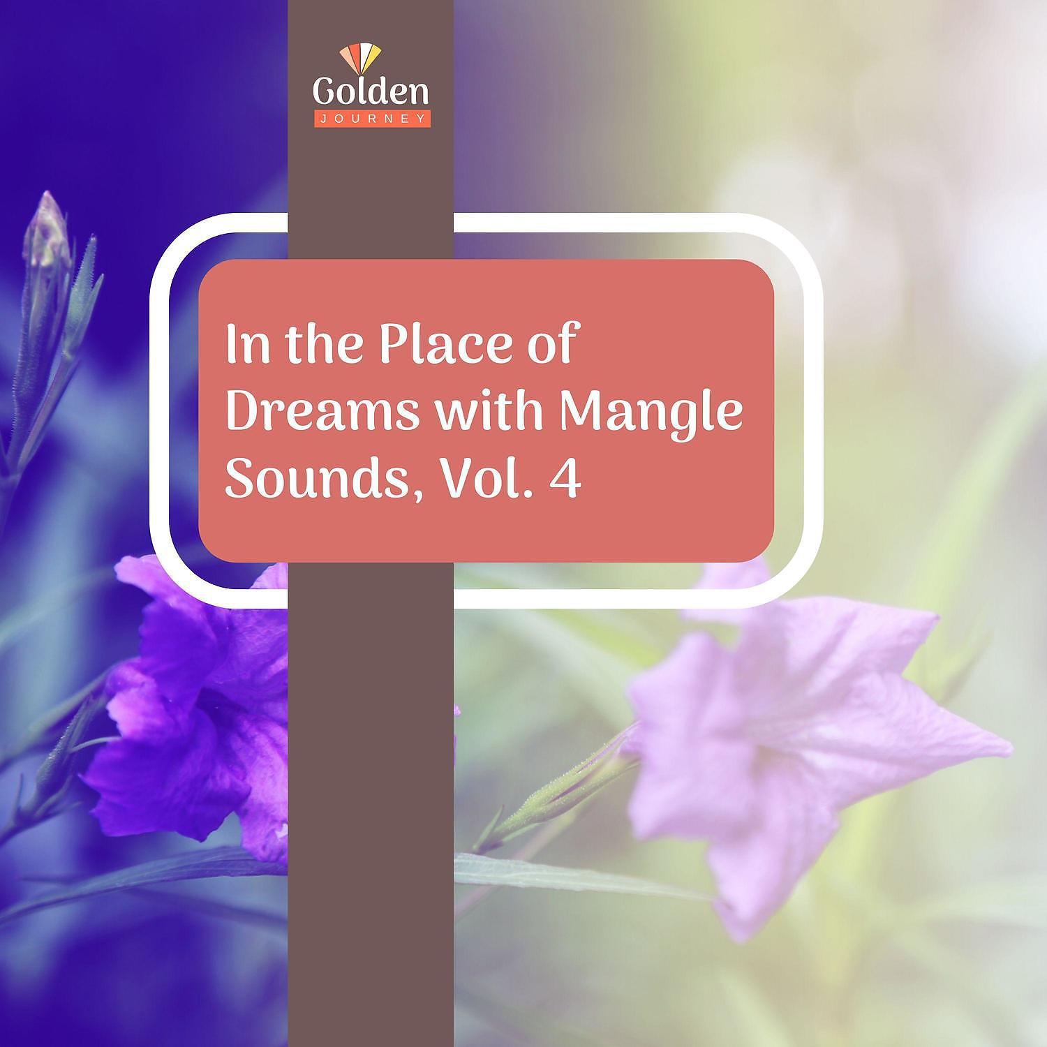 Постер альбома In the Place of Dreams with Mangle Sounds, Vol. 4