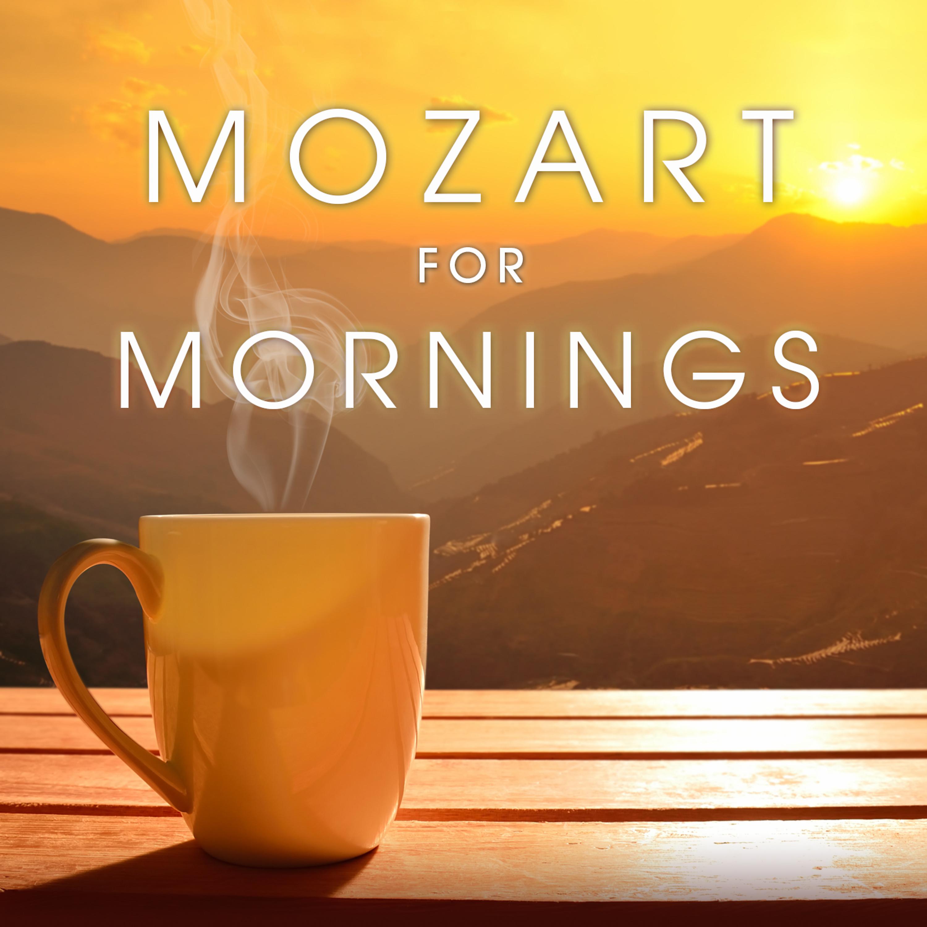 Постер альбома Mozart for Mornings