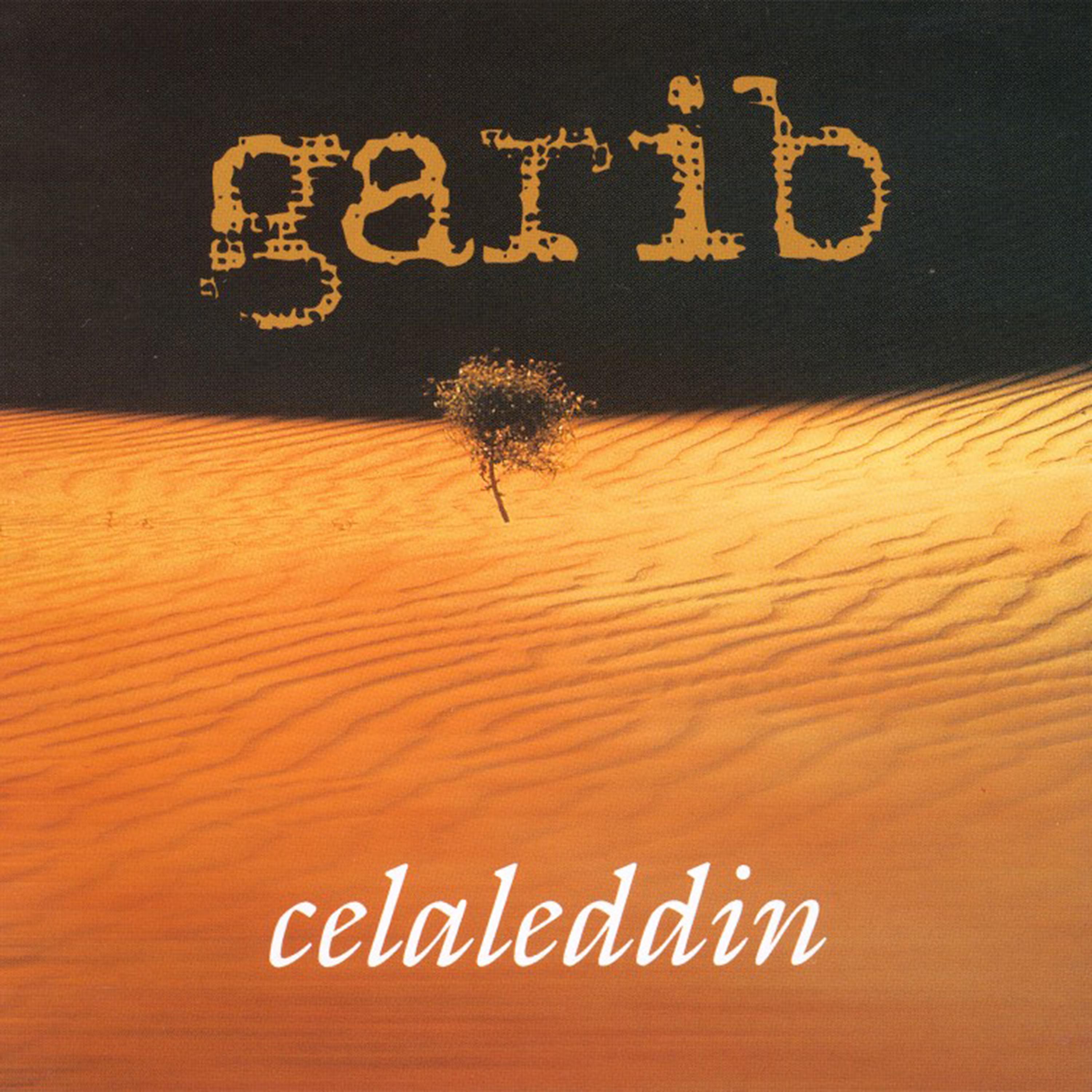 Постер альбома Garib