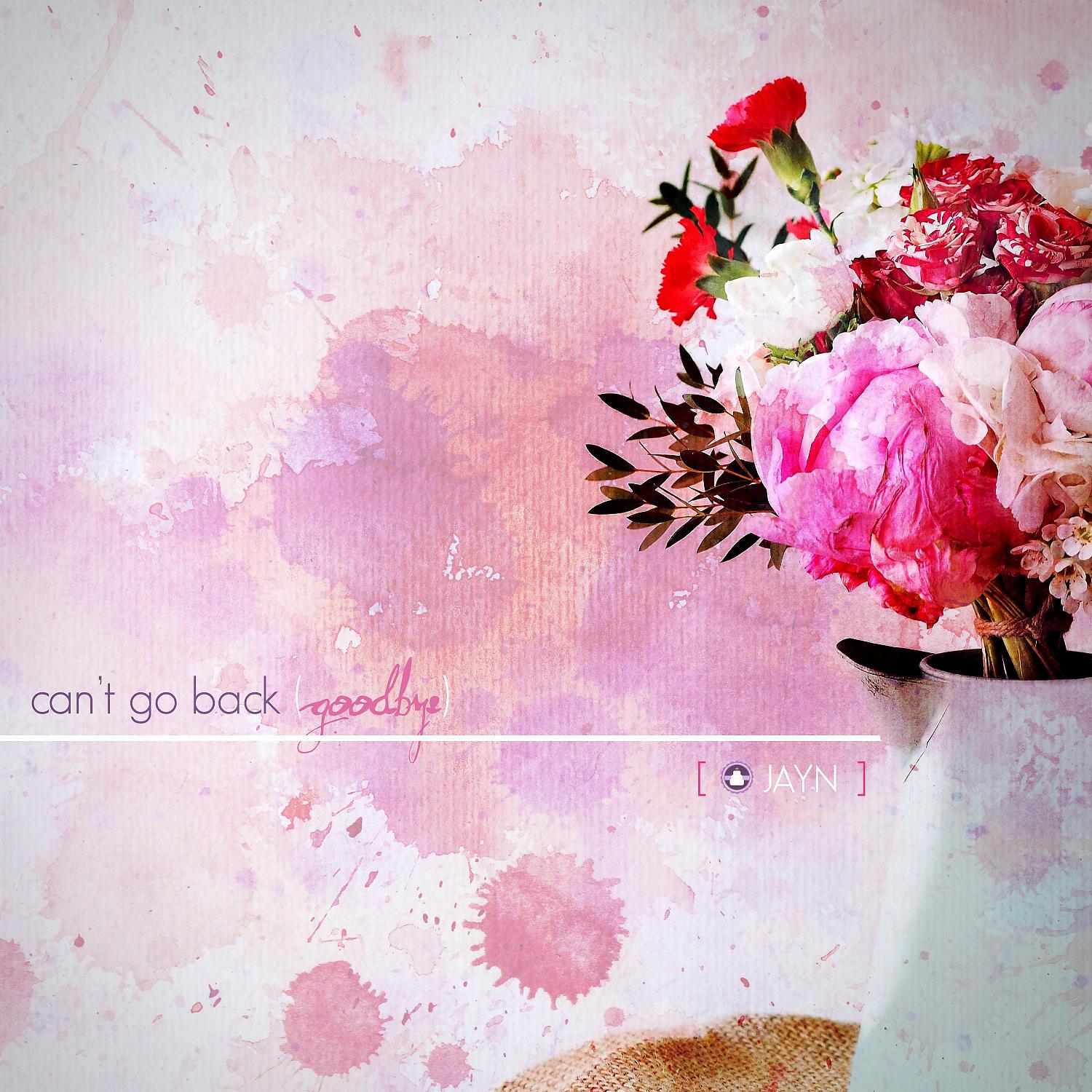 Постер альбома Can't Go Back (Goodbye)