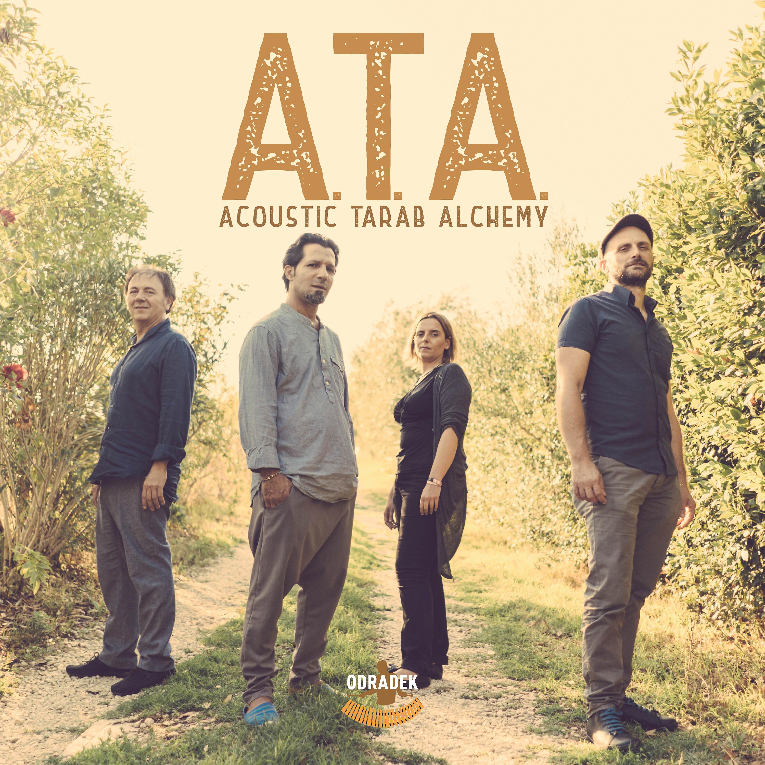 Постер альбома Acoustic Tarab Alchemy