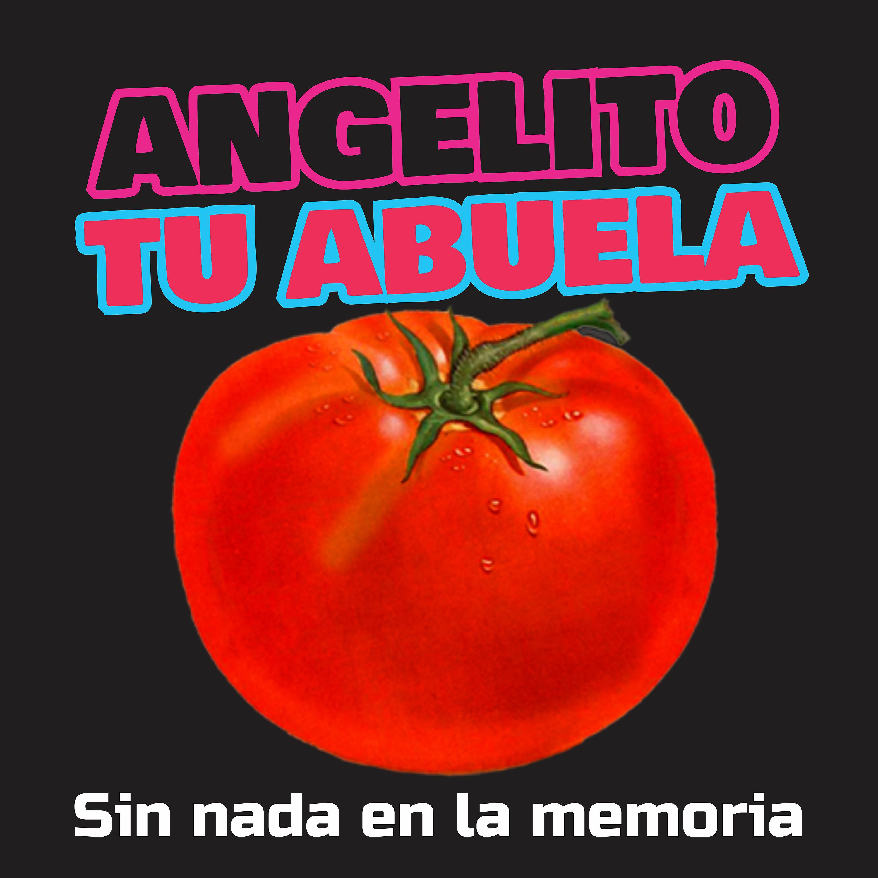 Постер альбома Sin Nada en la Memoria