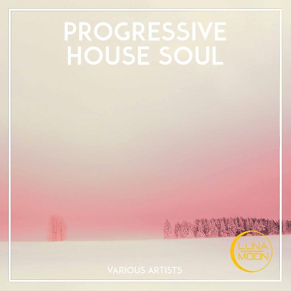 Постер альбома Progressive House Soul