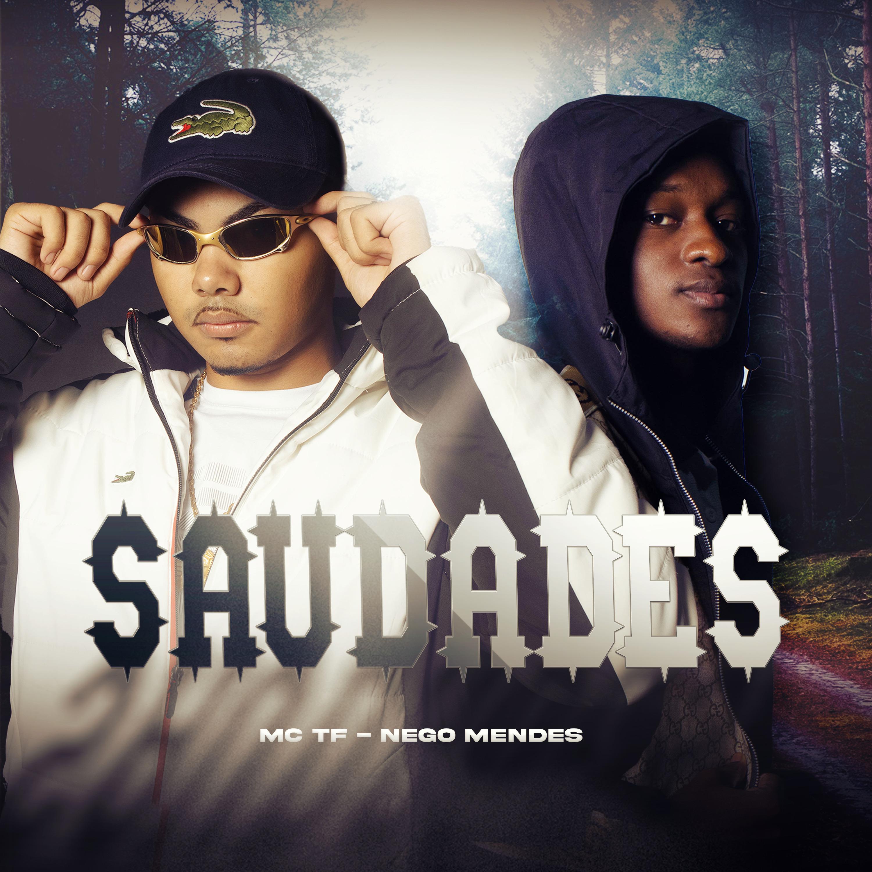 Постер альбома Saudades