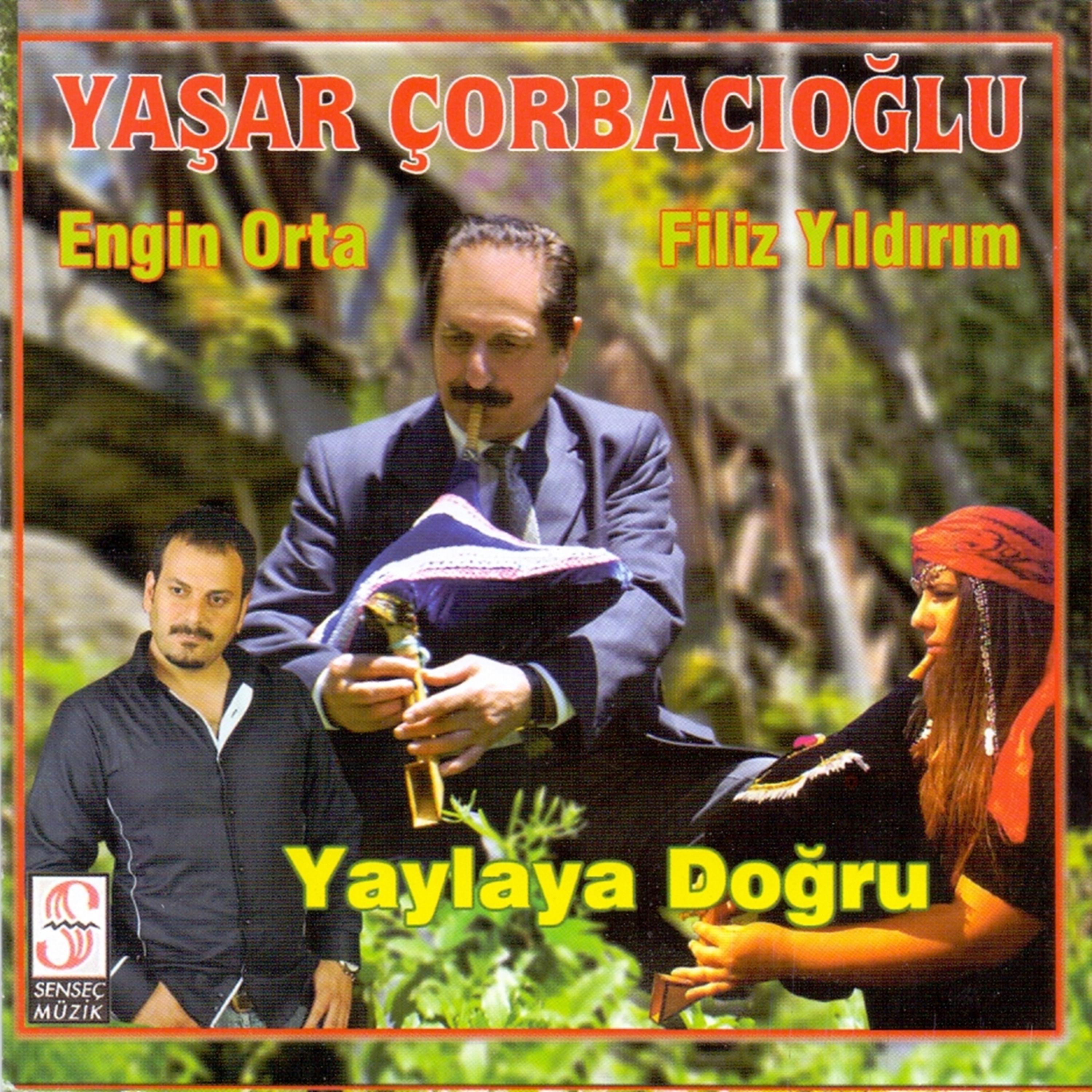 Постер альбома Yaylaya Doğru