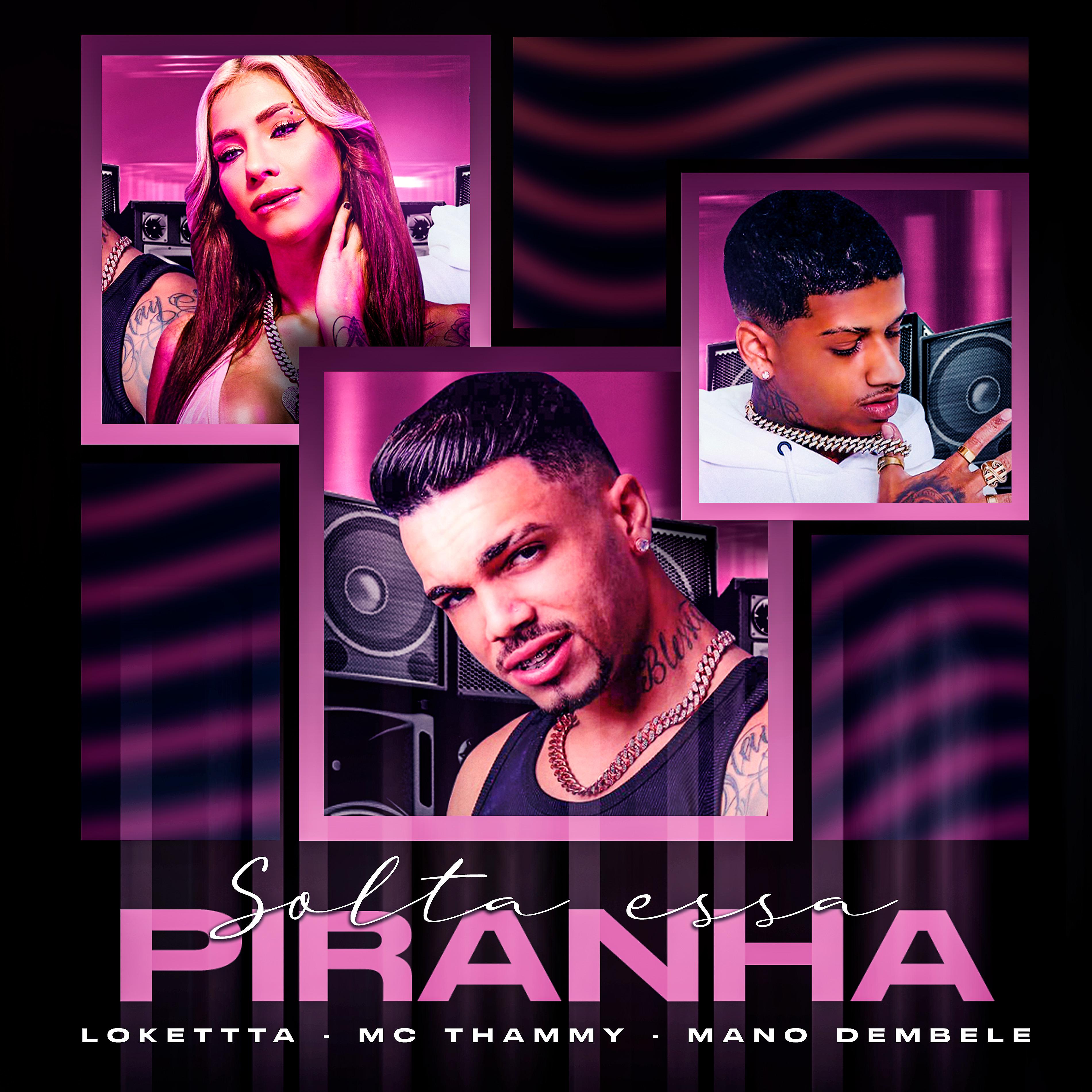 Постер альбома Solta Essa Piranha