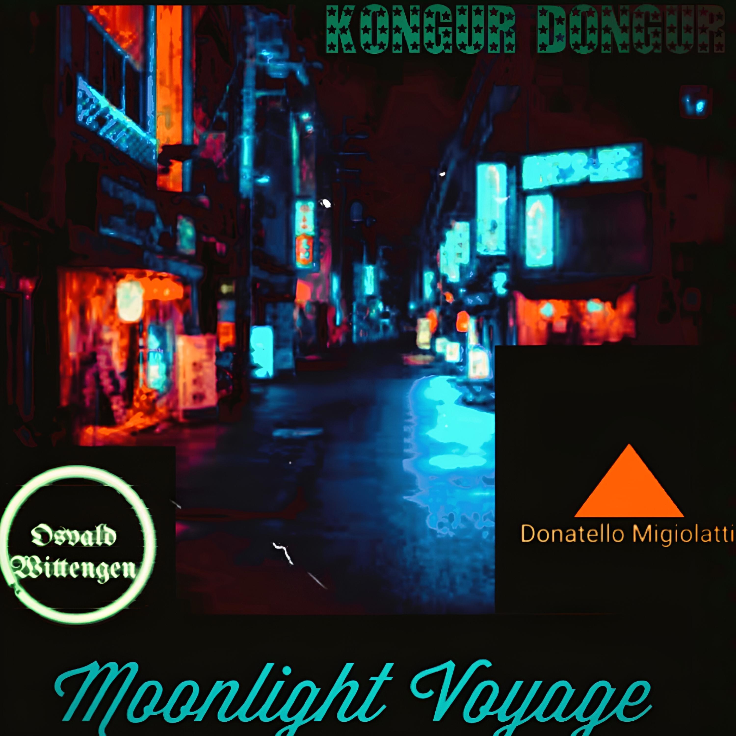 Постер альбома Moonlight Voyage