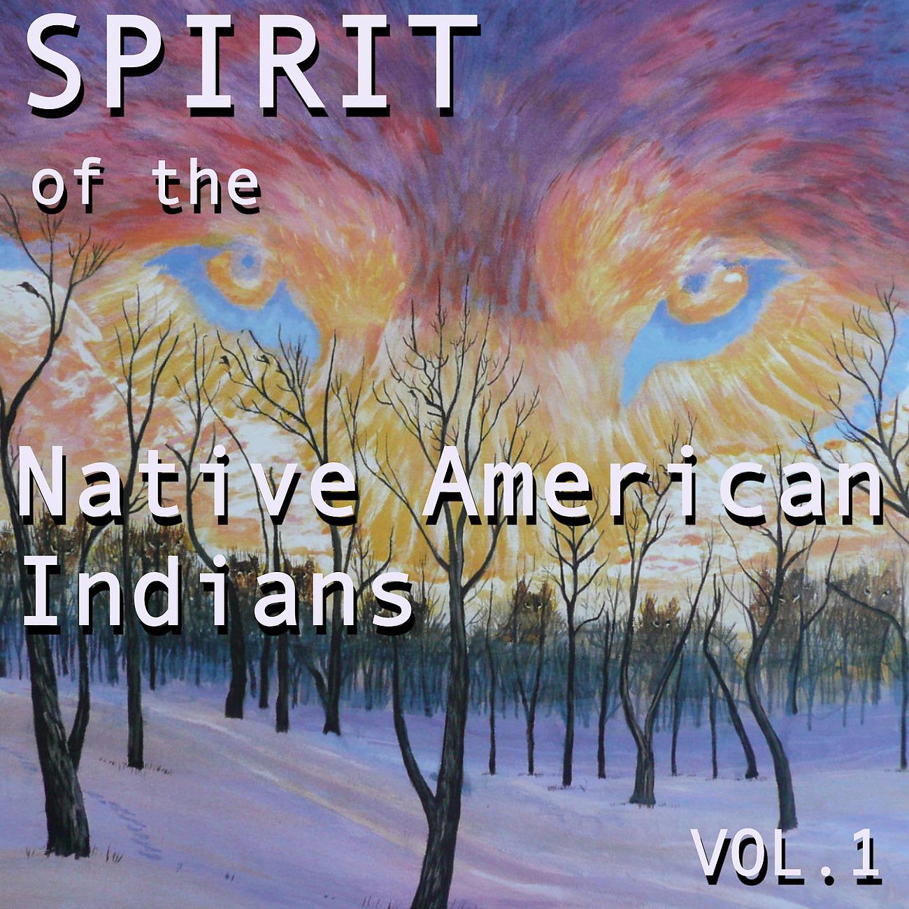 Постер альбома Spirit of the Native American Indians