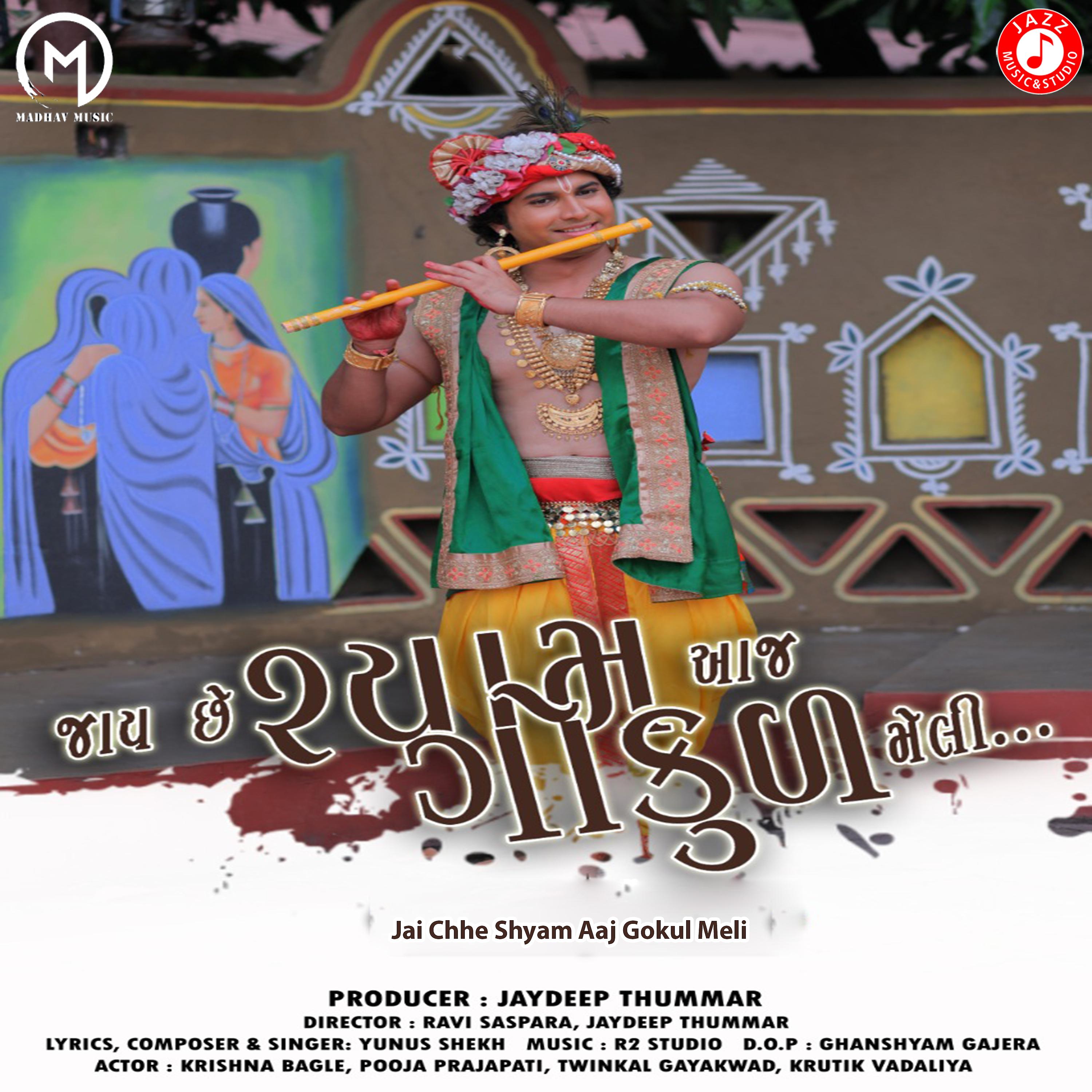 Постер альбома Jai Chhe Shyam Aaj Gokul Meli - Single