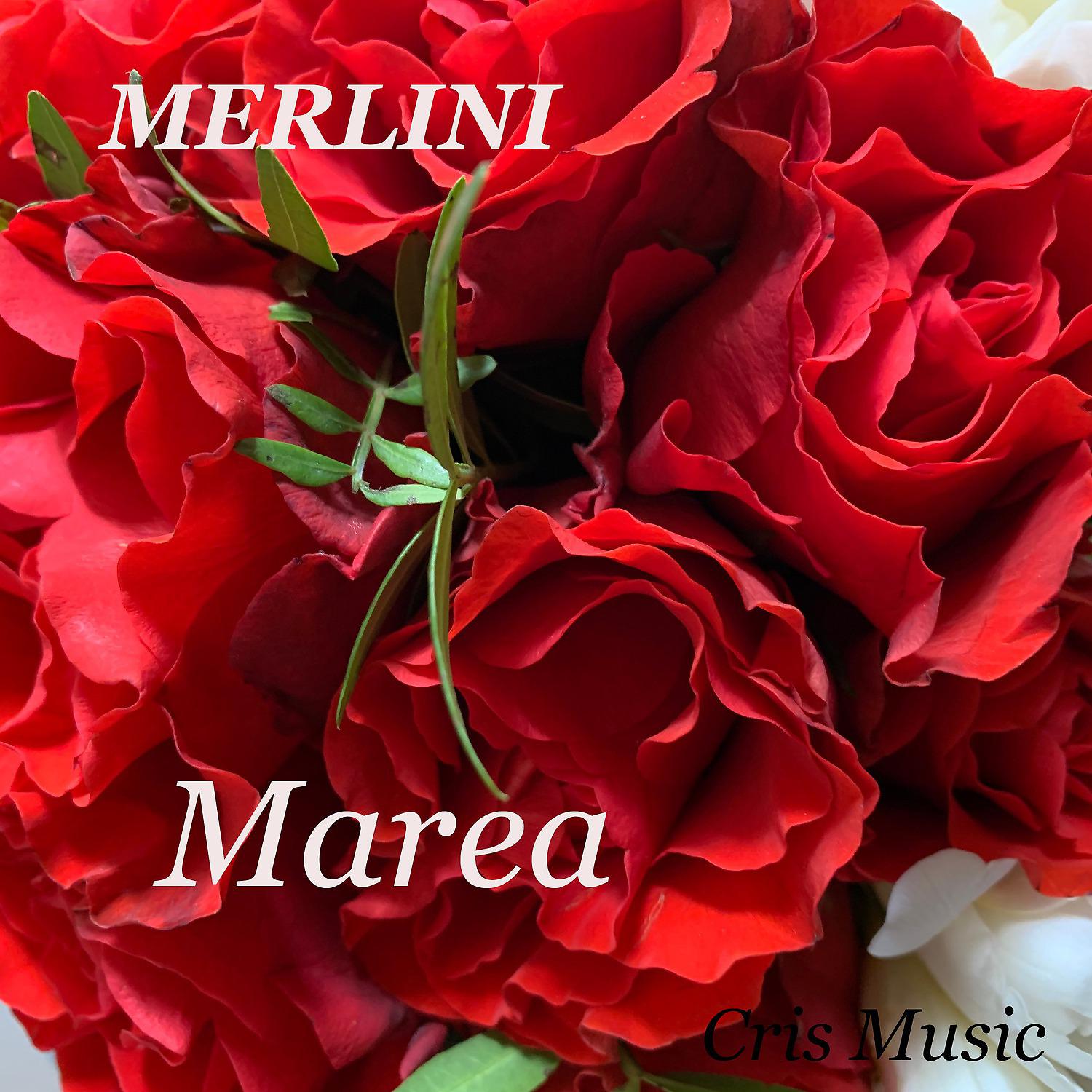 Постер альбома Merlini: Marea