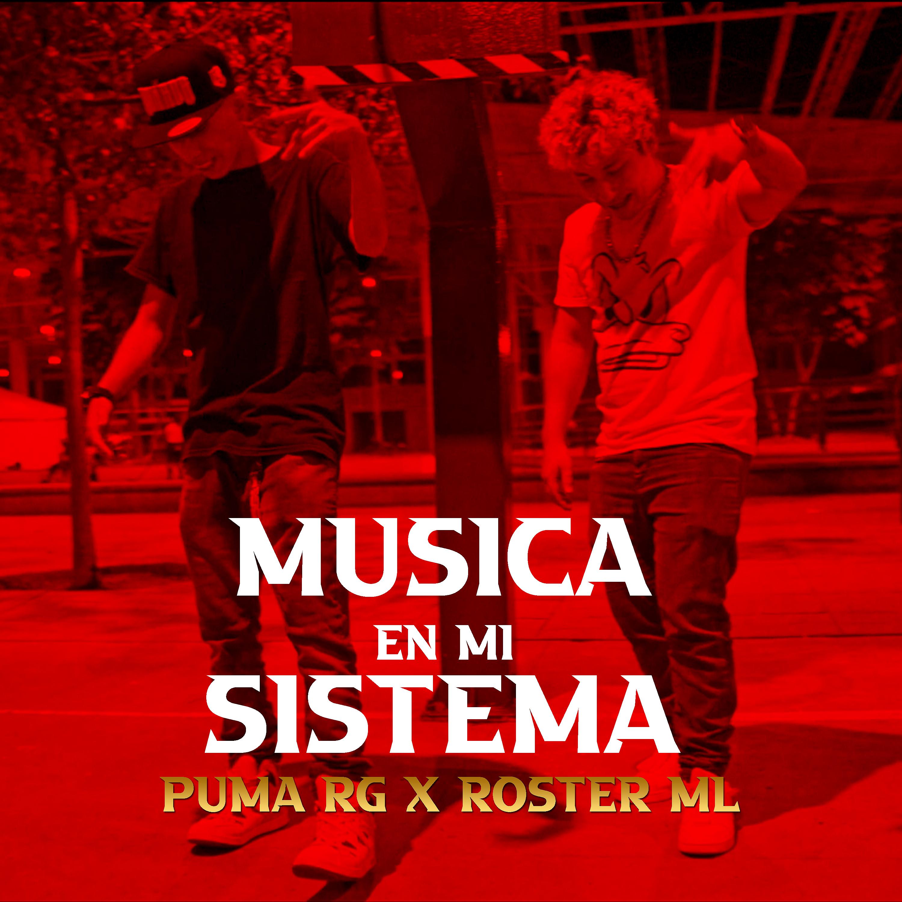 Постер альбома Musica en Mi Sistema