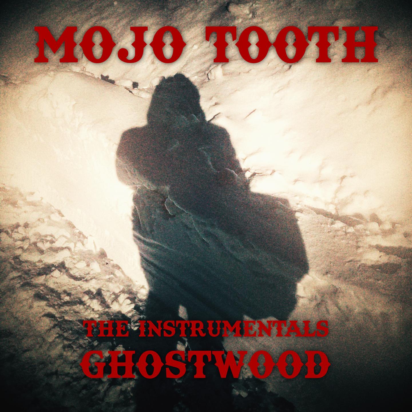 Постер альбома Ghostwood