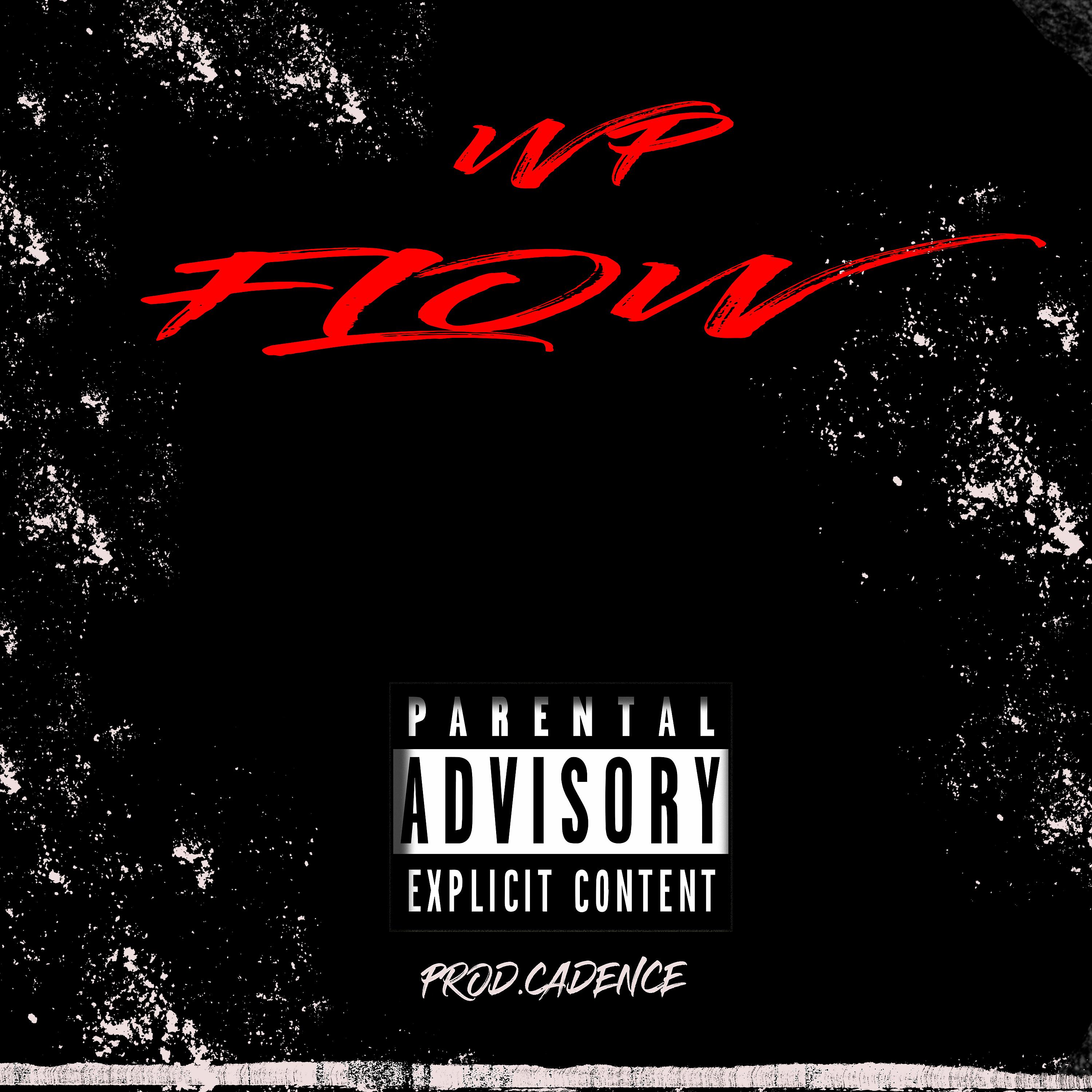 Постер альбома Wp - Flow