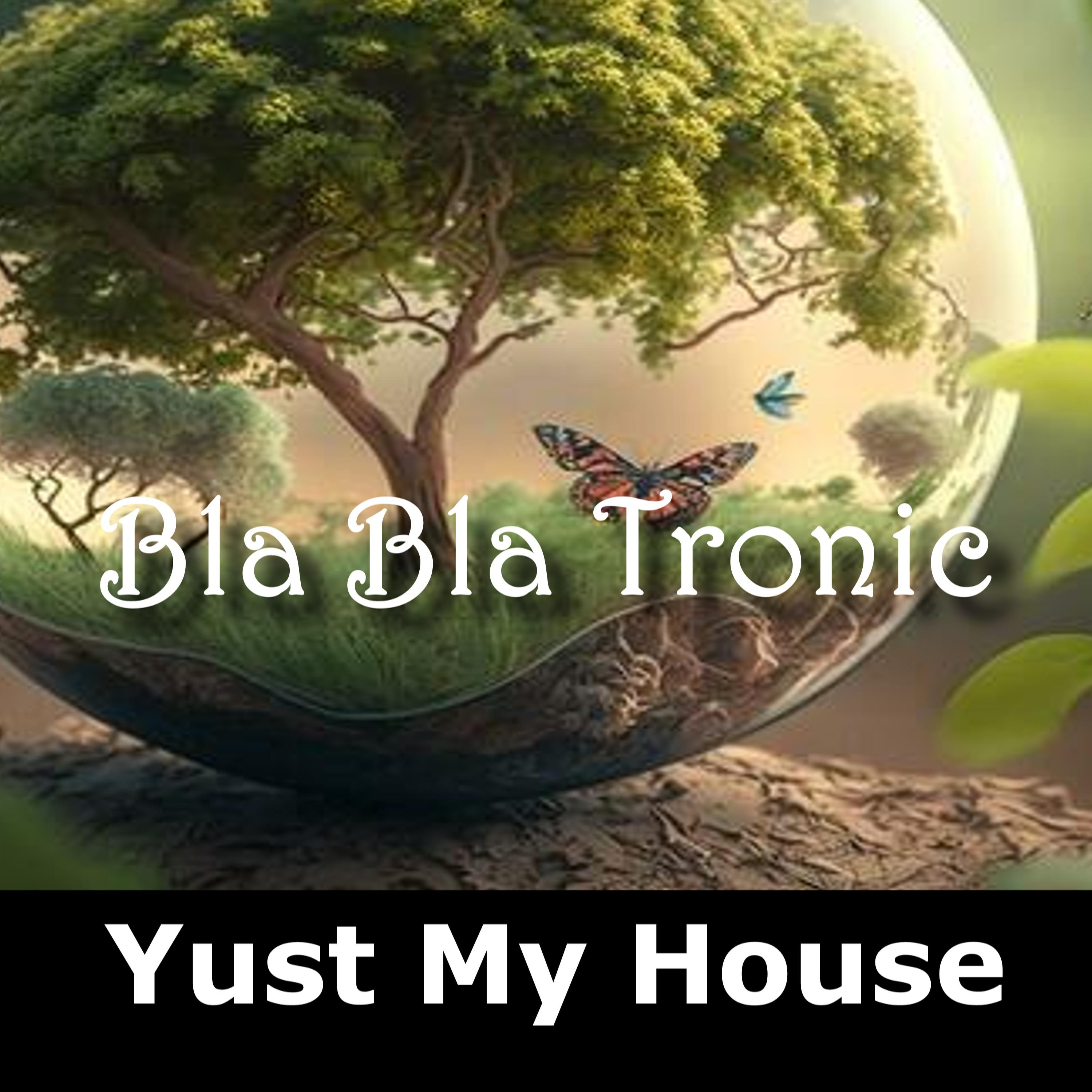 Постер альбома Bla Bla Tronic