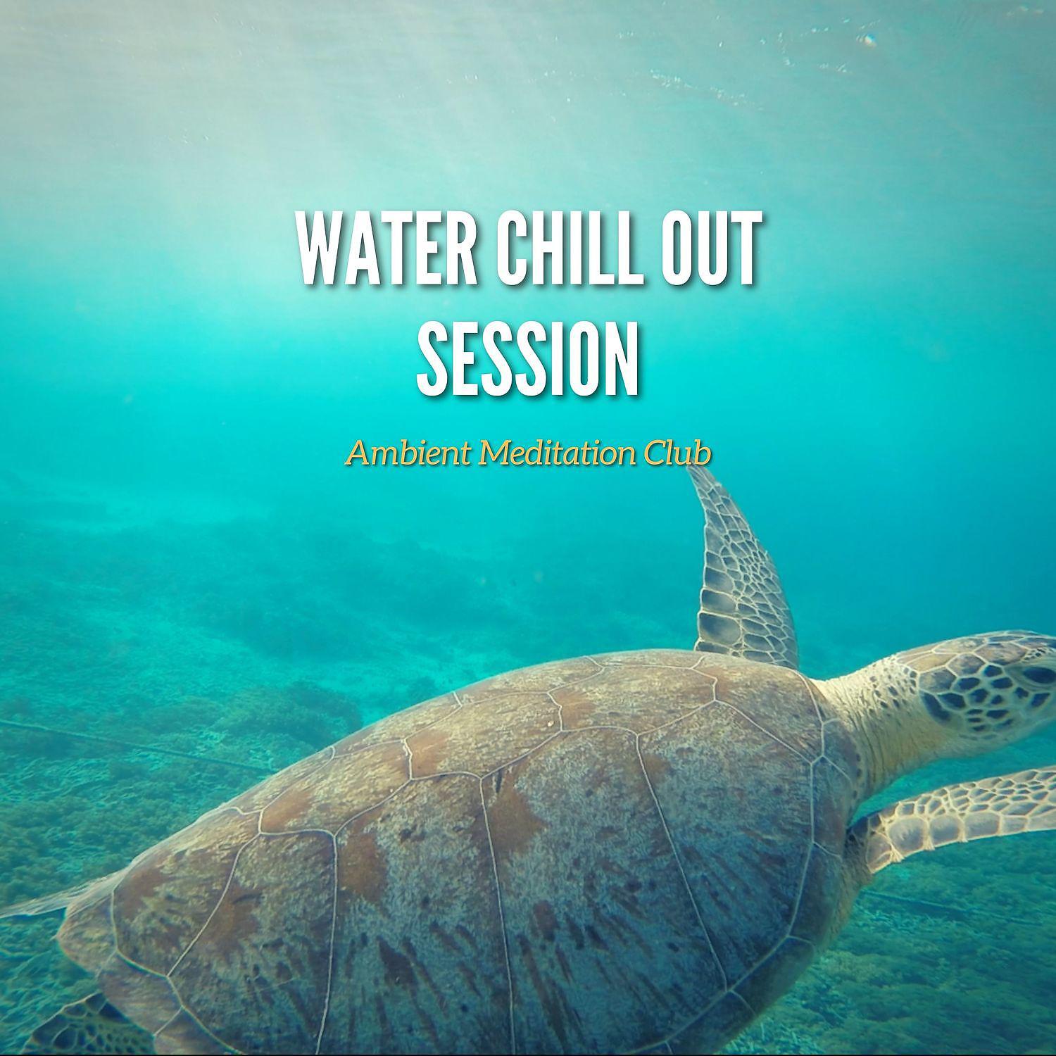 Постер альбома Water Chill Out Session - Deeply Relaxing Ambient