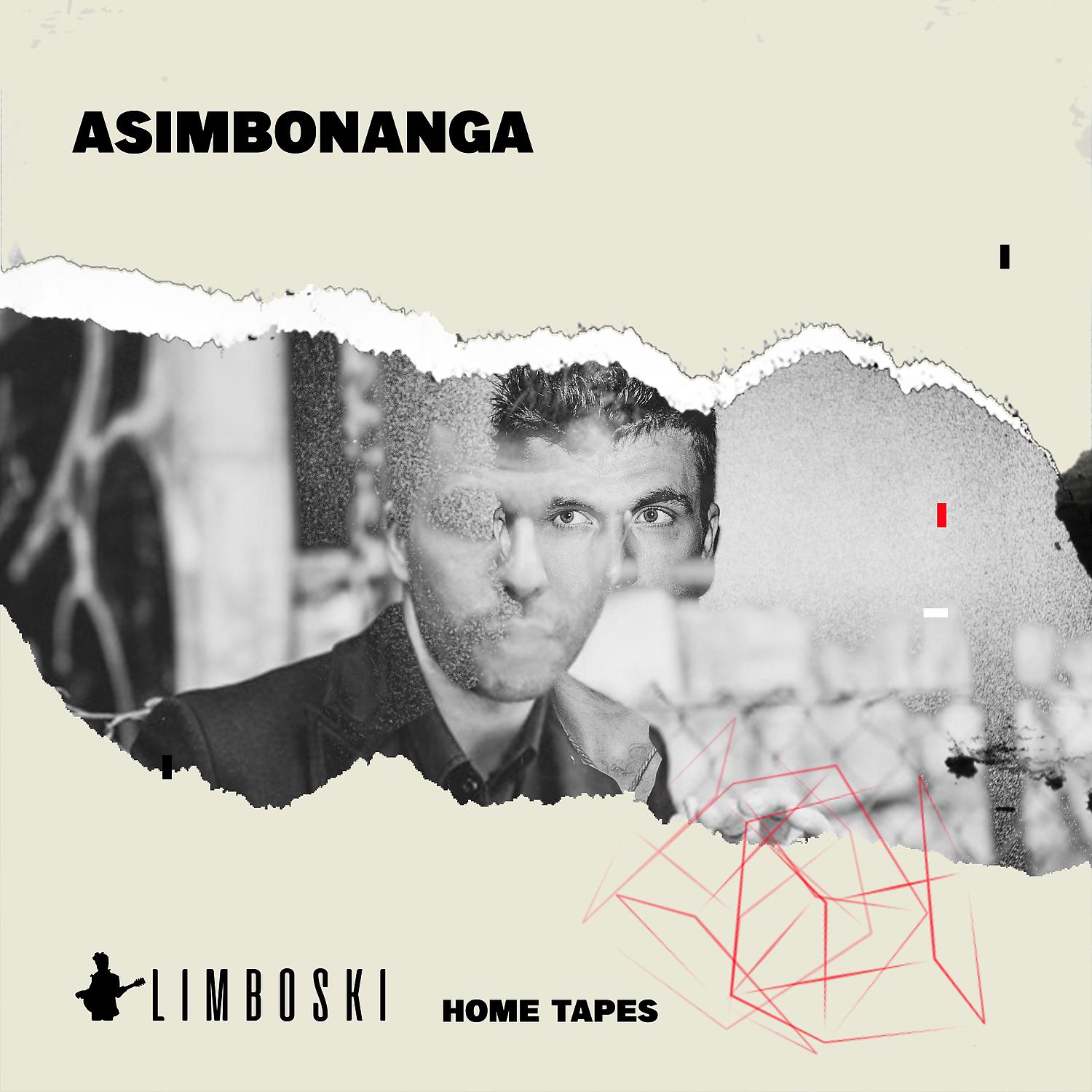 Постер альбома Asimbonanga