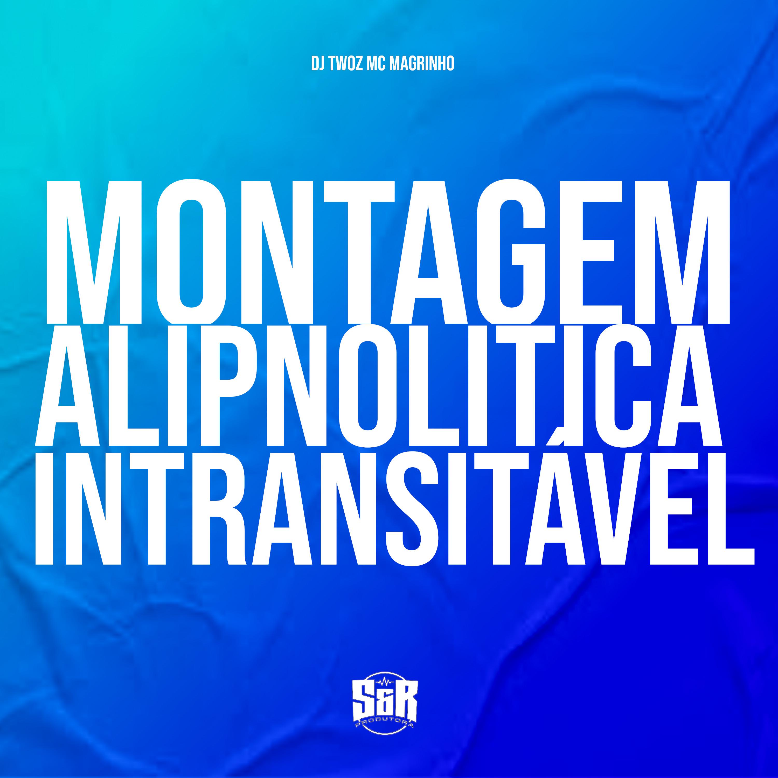 Постер альбома Montagem Alipnolitica Intransitável