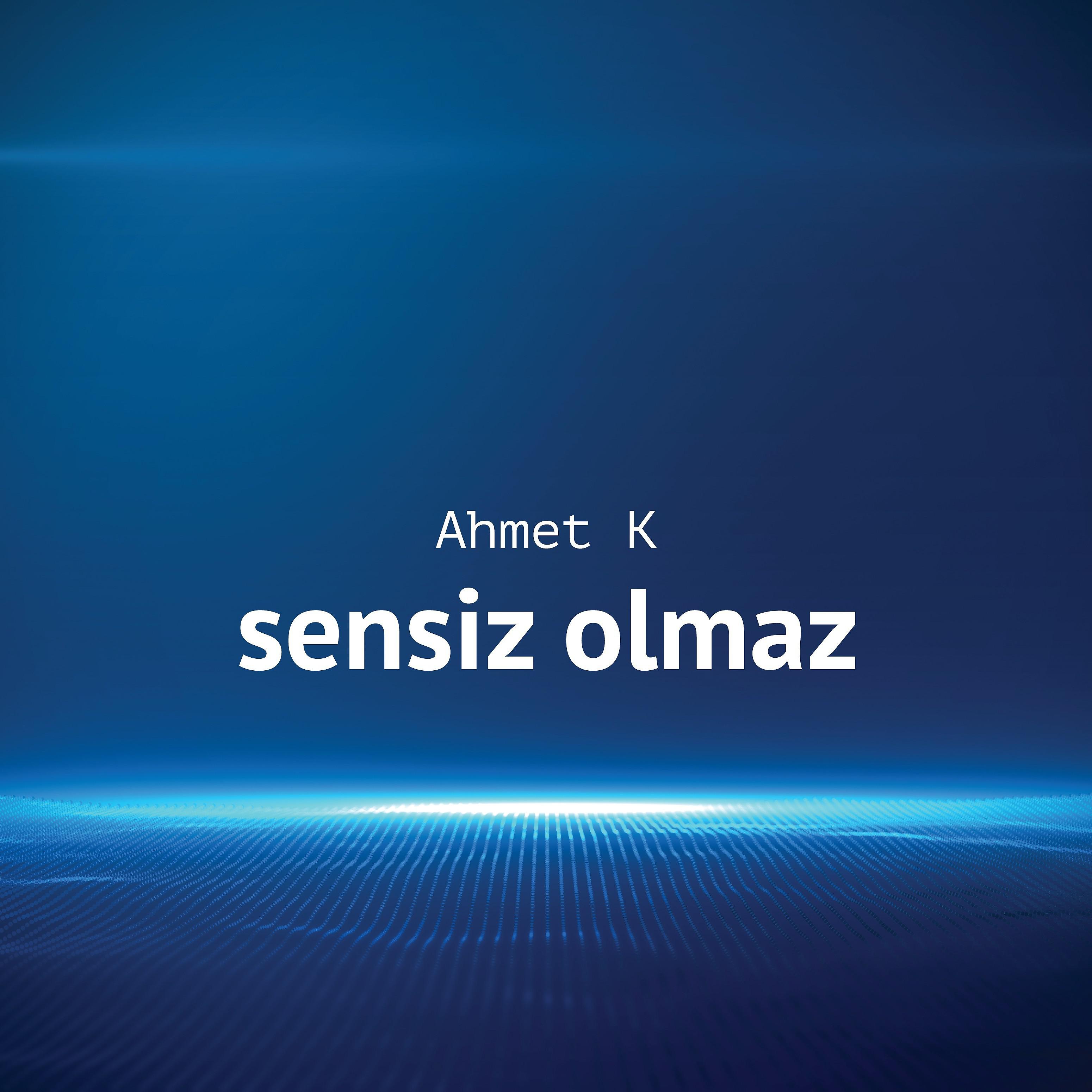 Постер альбома Sensiz Olmaz