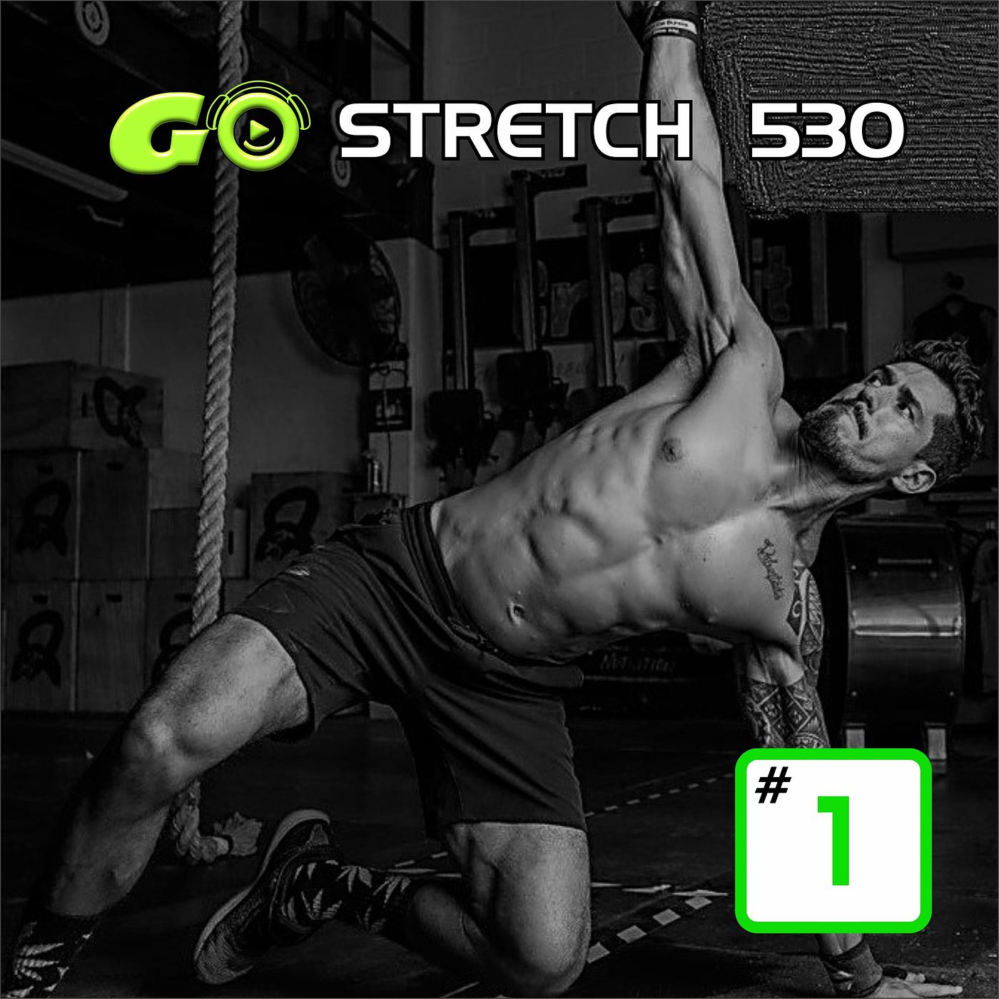 Постер альбома Go Stretch 530 #1