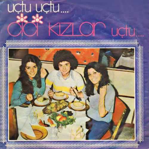 Постер альбома Uçtu Uçtu