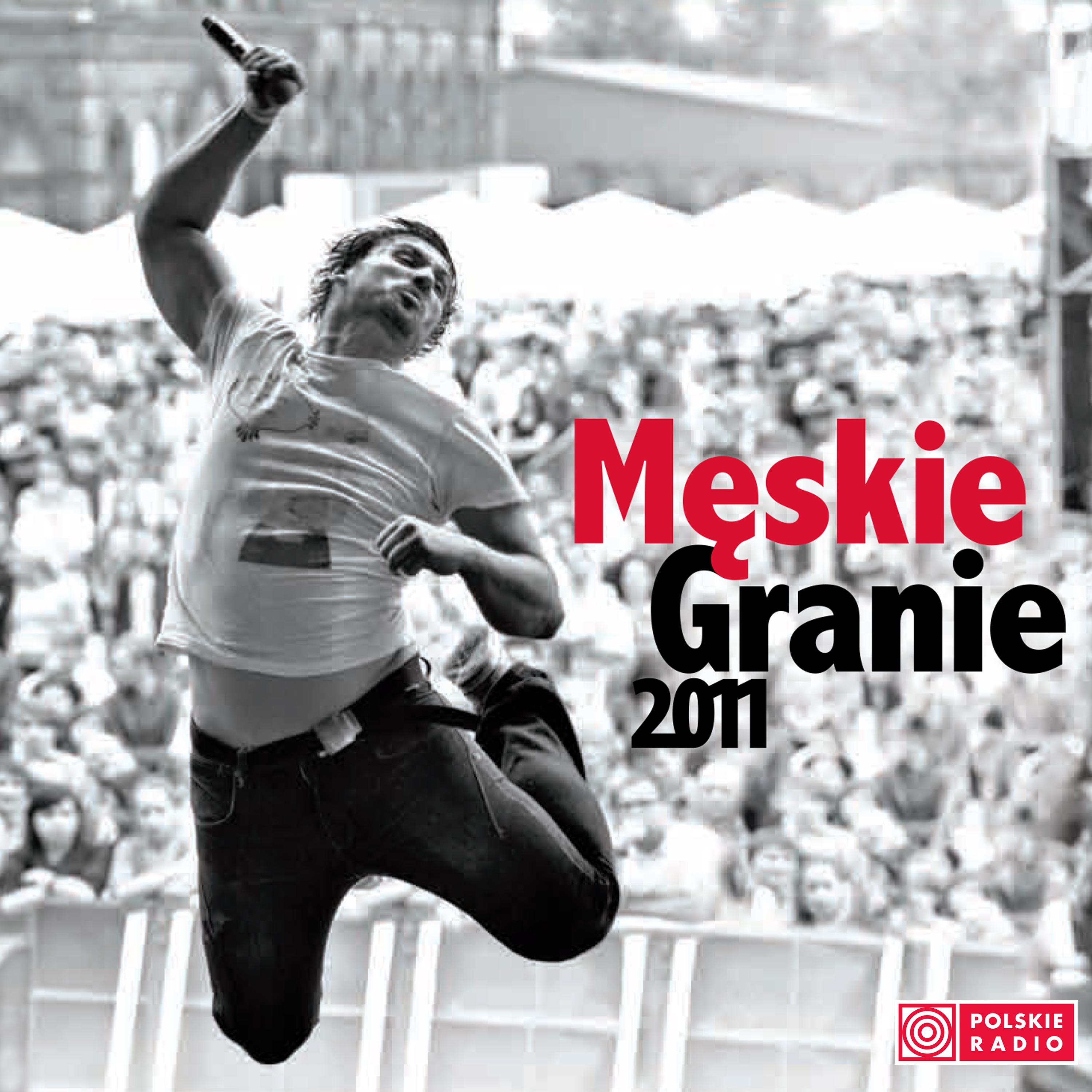 Постер альбома Męskie Granie 2011