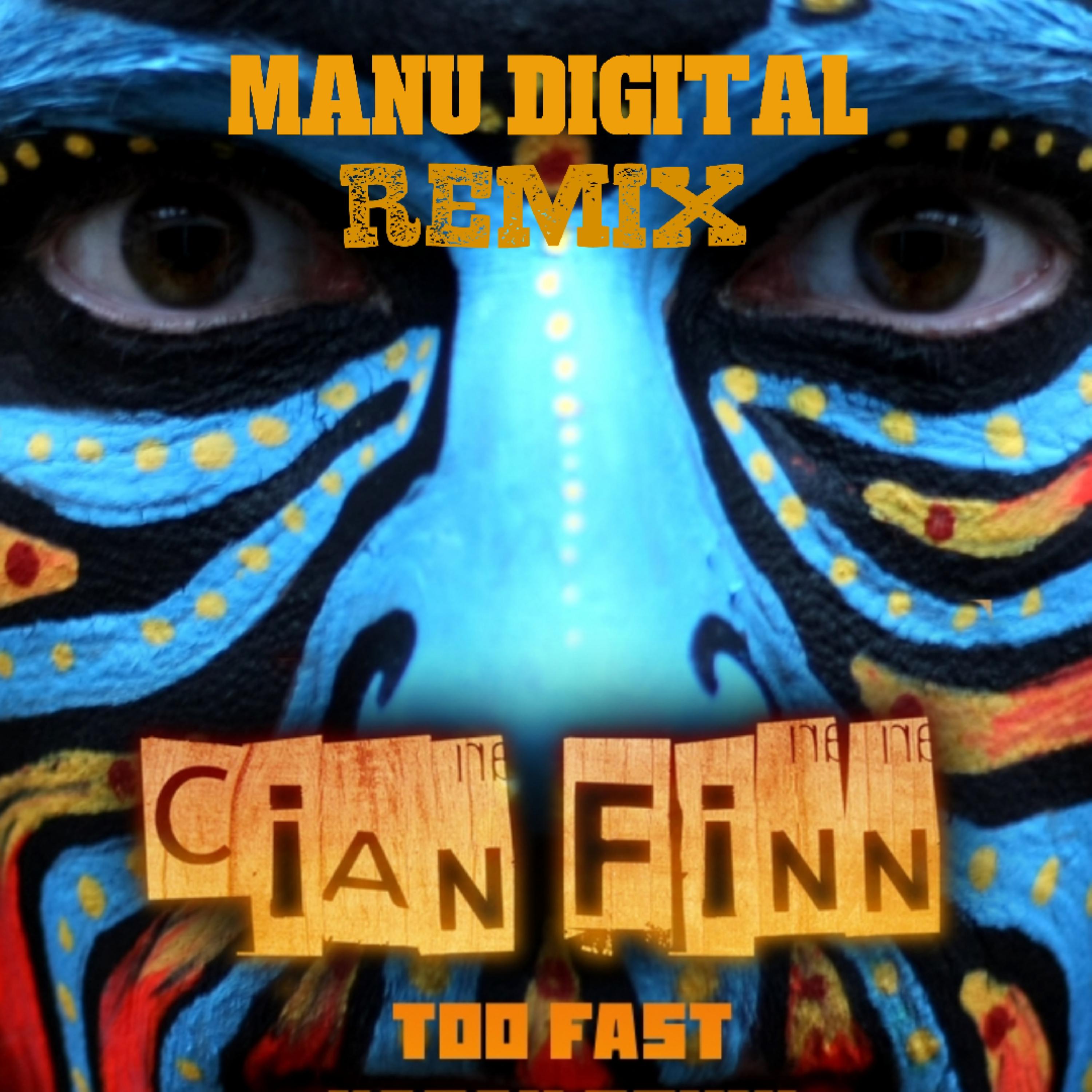 Постер альбома Too Fast (Manu Digital Remix)