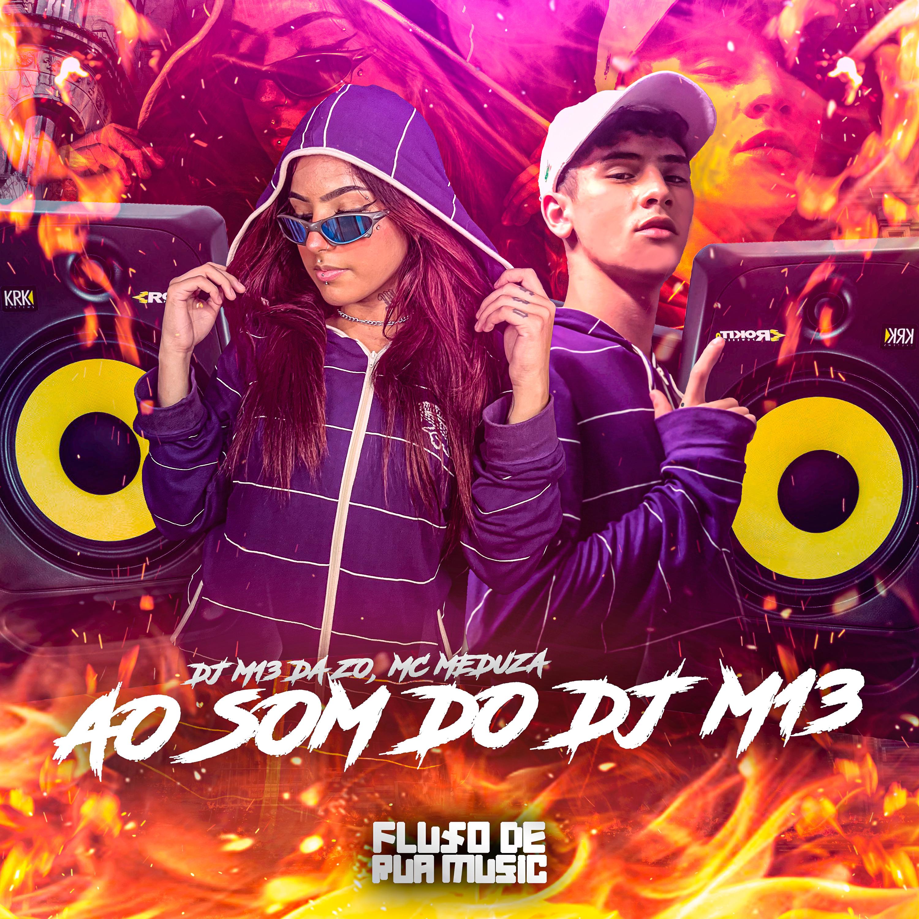 Постер альбома Ao Som do Dj M13