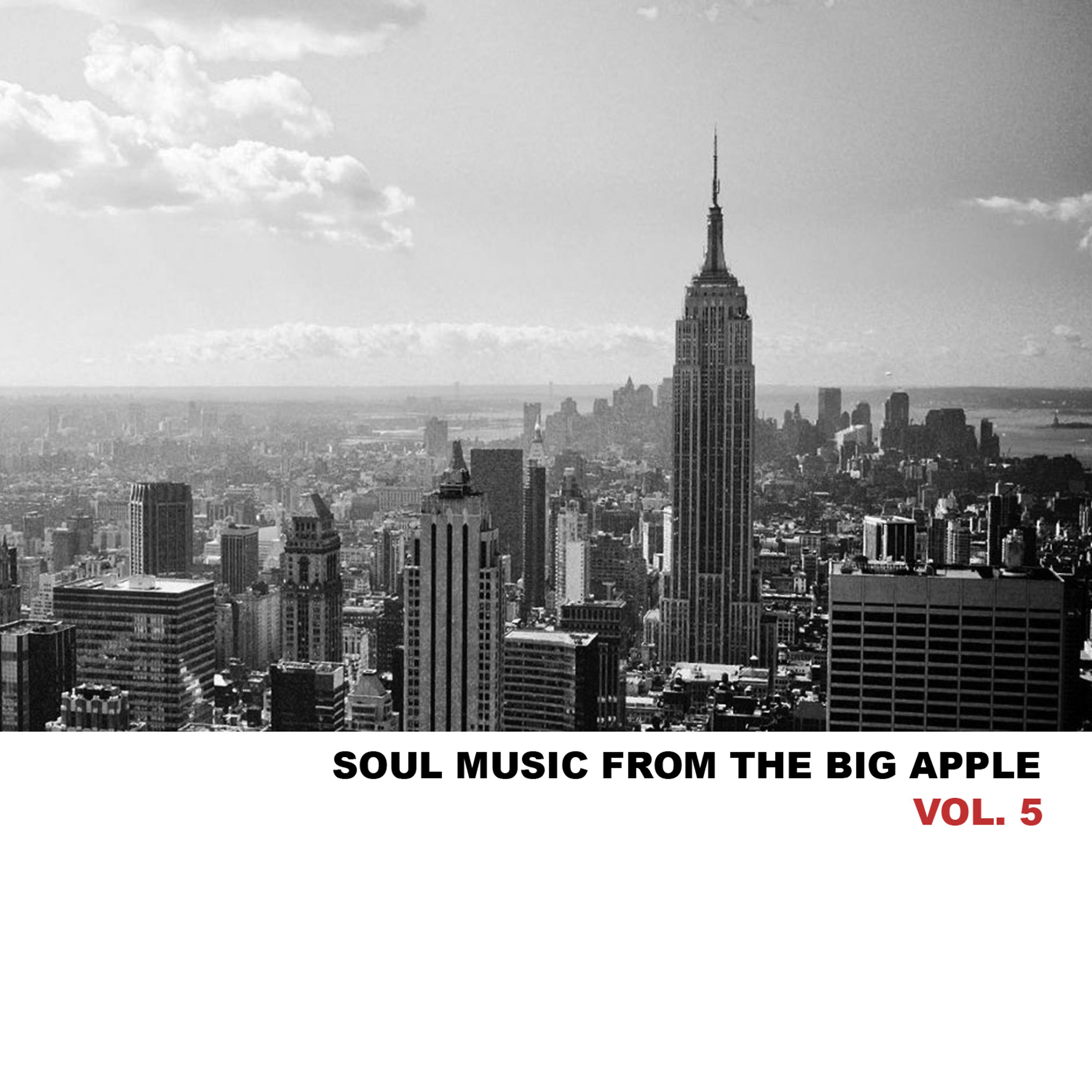 Постер альбома Soul Music from the Big Apple, Vol. 5