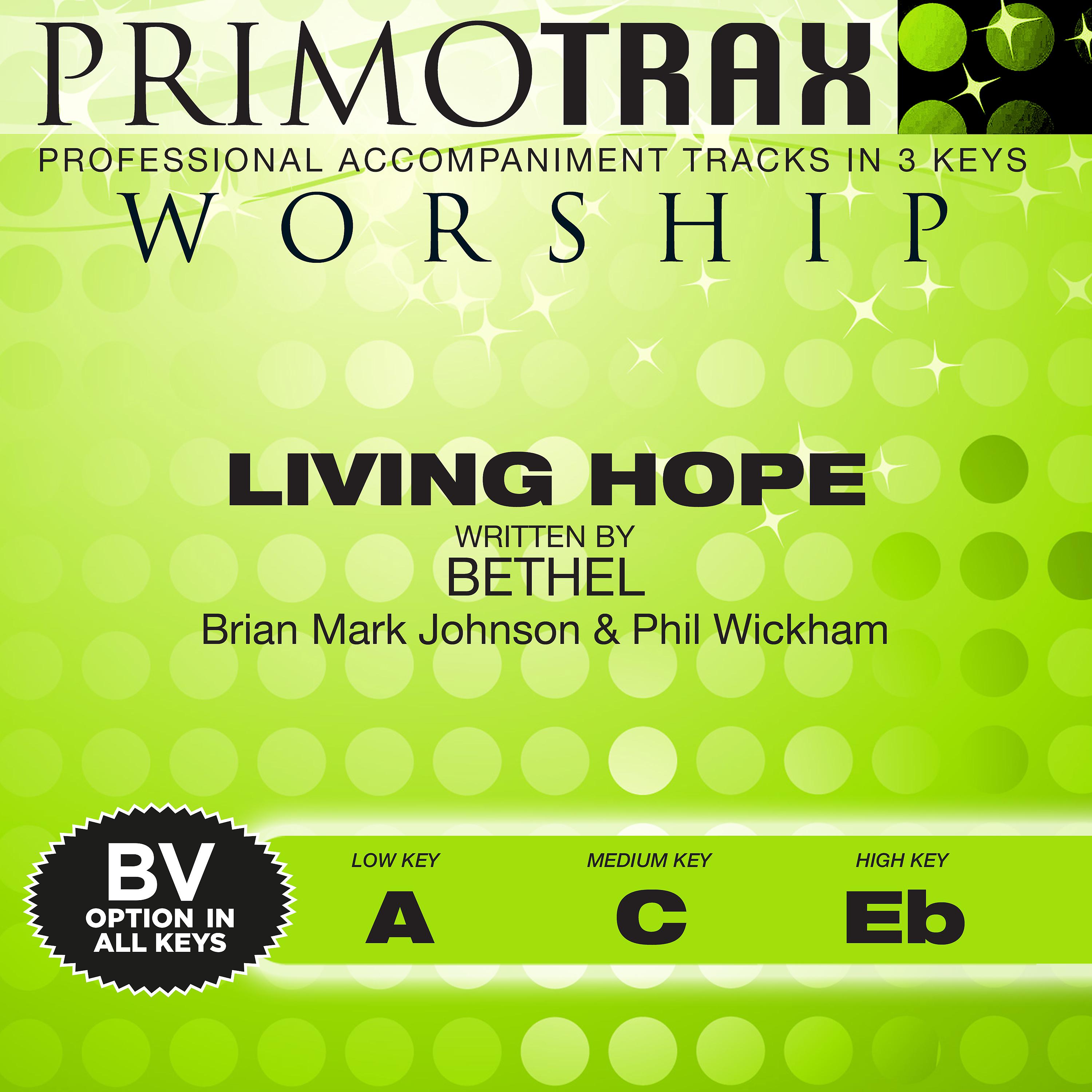 Постер альбома Living Hope (Performance Tracks) - EP