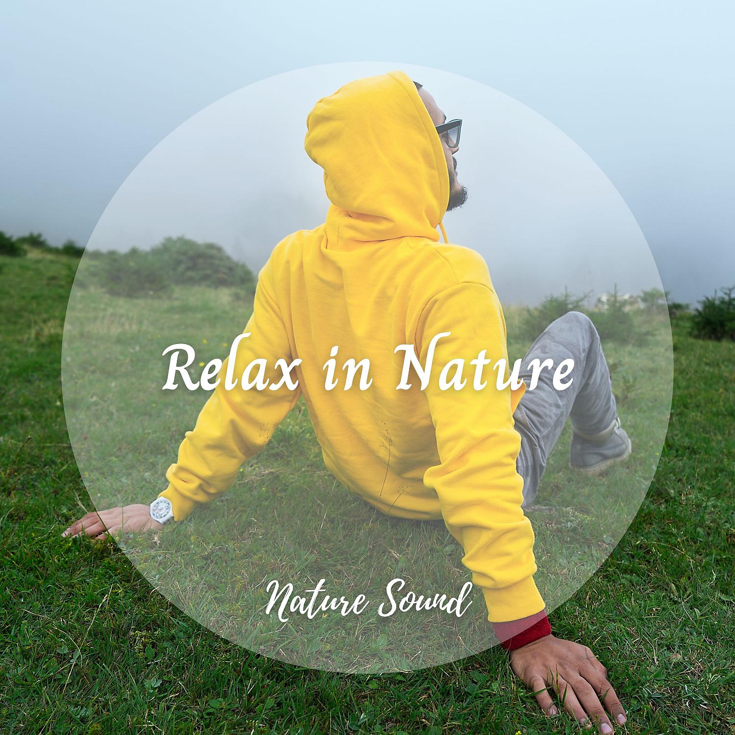 Постер альбома Nature Sound: Relax in Nature
