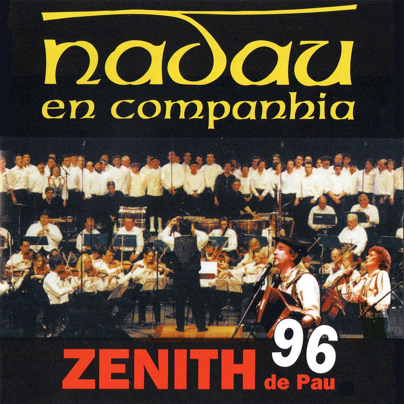 Постер альбома Zenith de Pau 1996