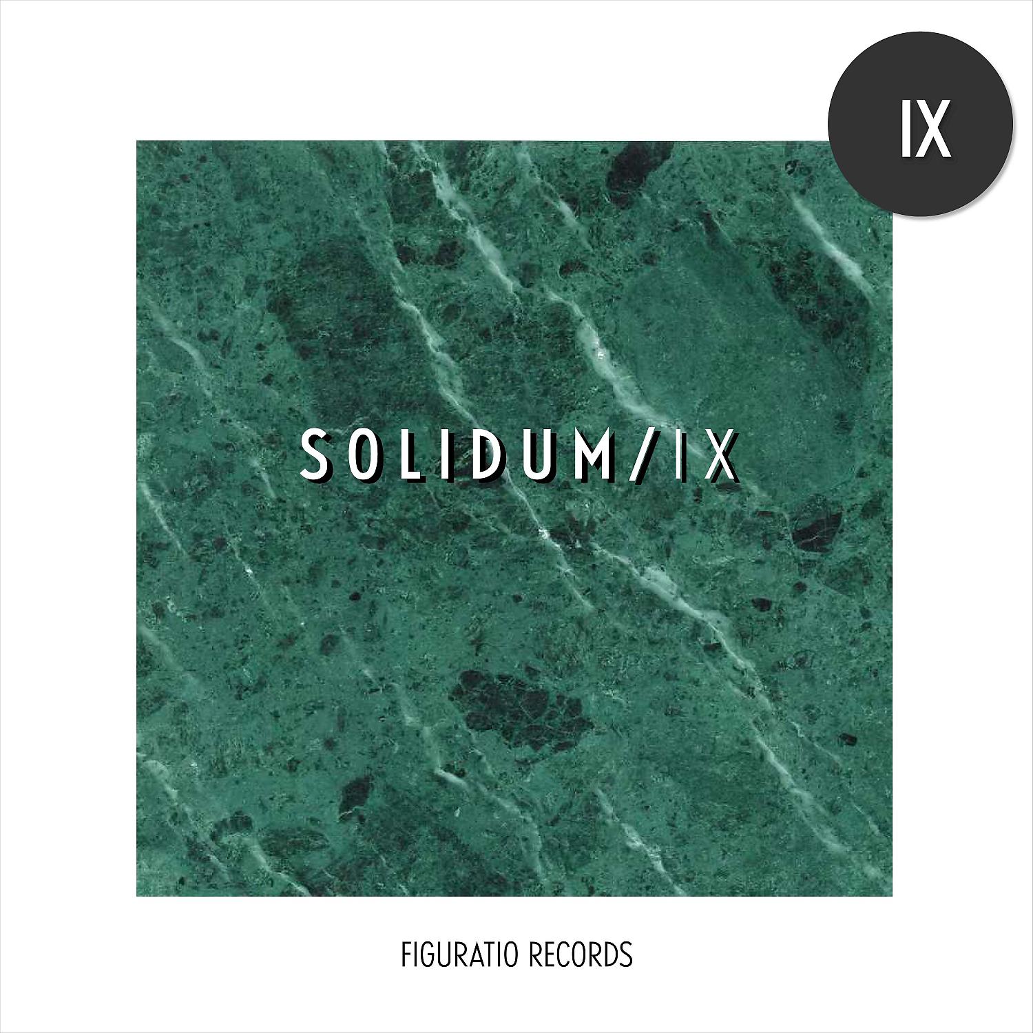 Постер альбома Solidum IX