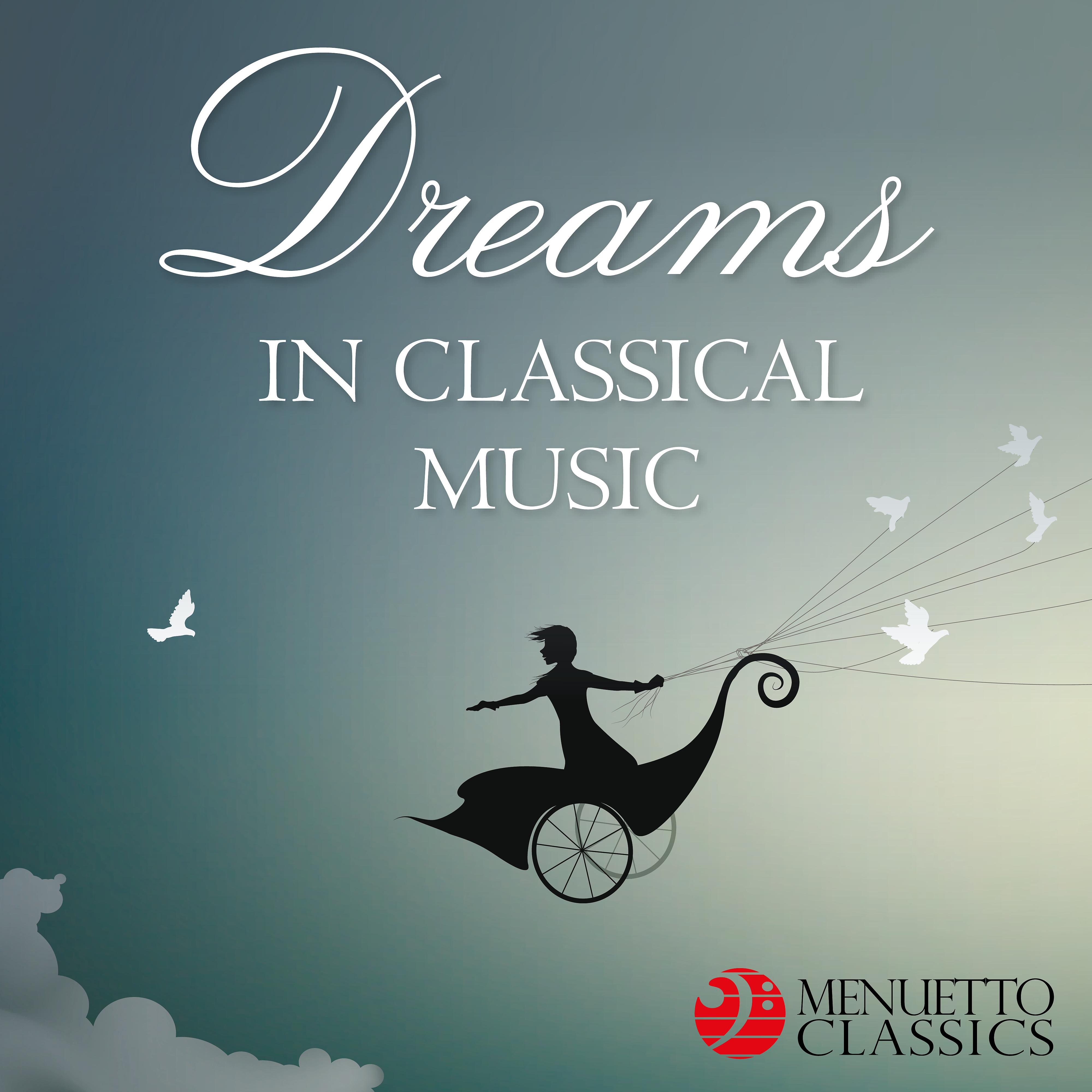 Постер альбома Dreams in Classical Music