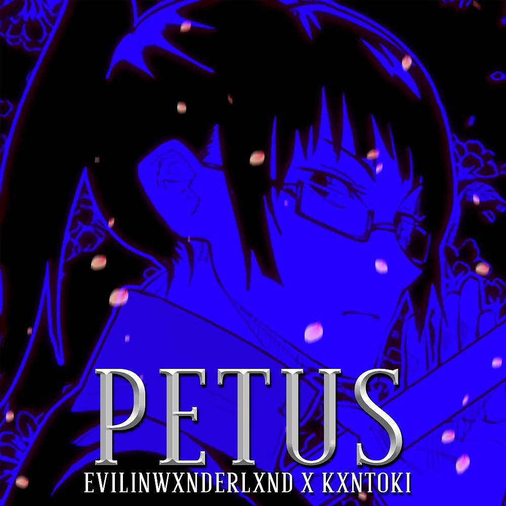 Постер альбома Petus
