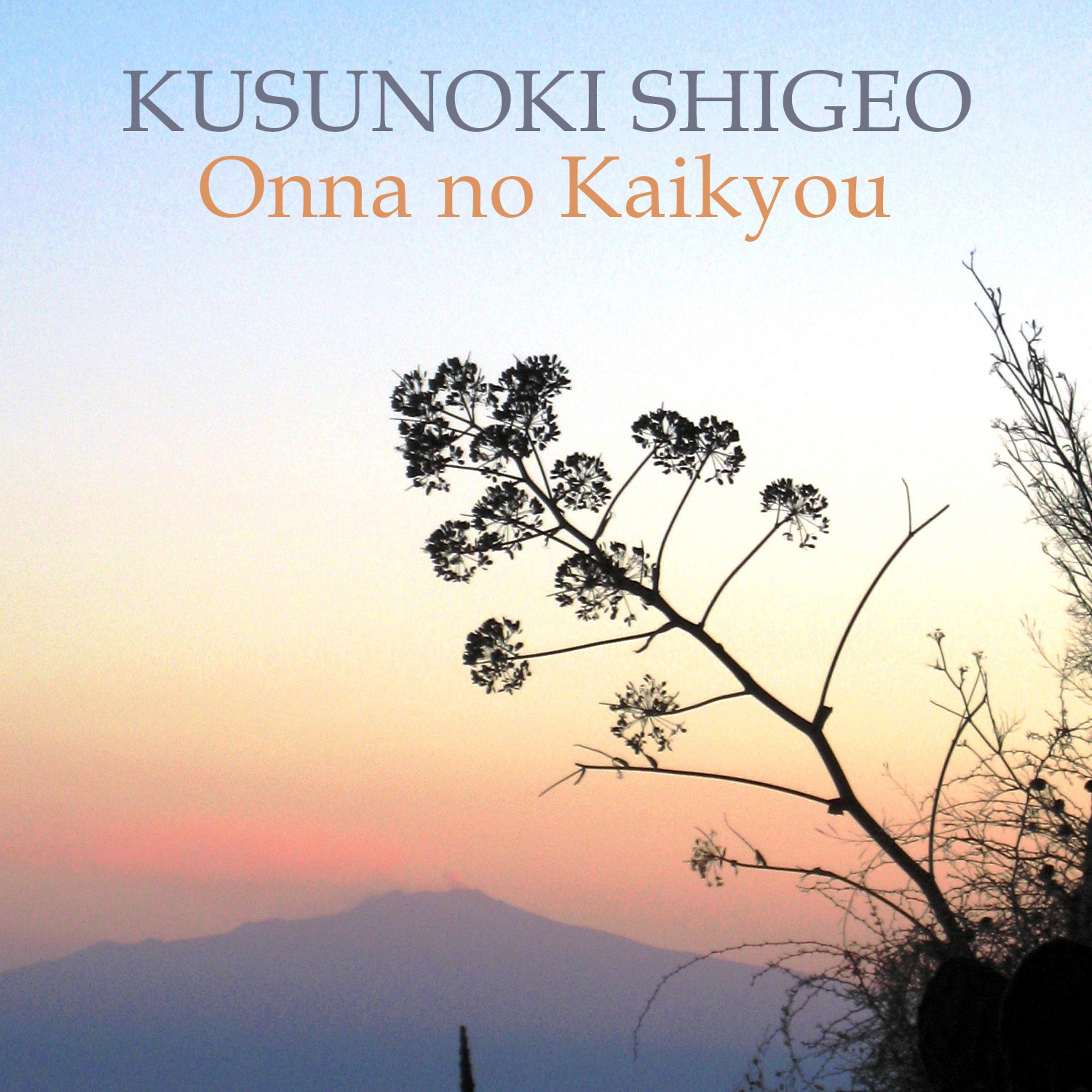 Постер альбома Onna no Kaikyou