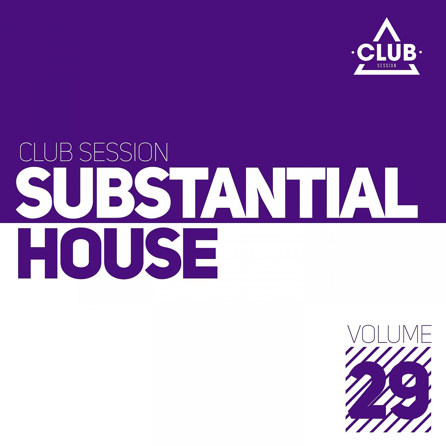 Постер альбома Substantial House, Vol. 29