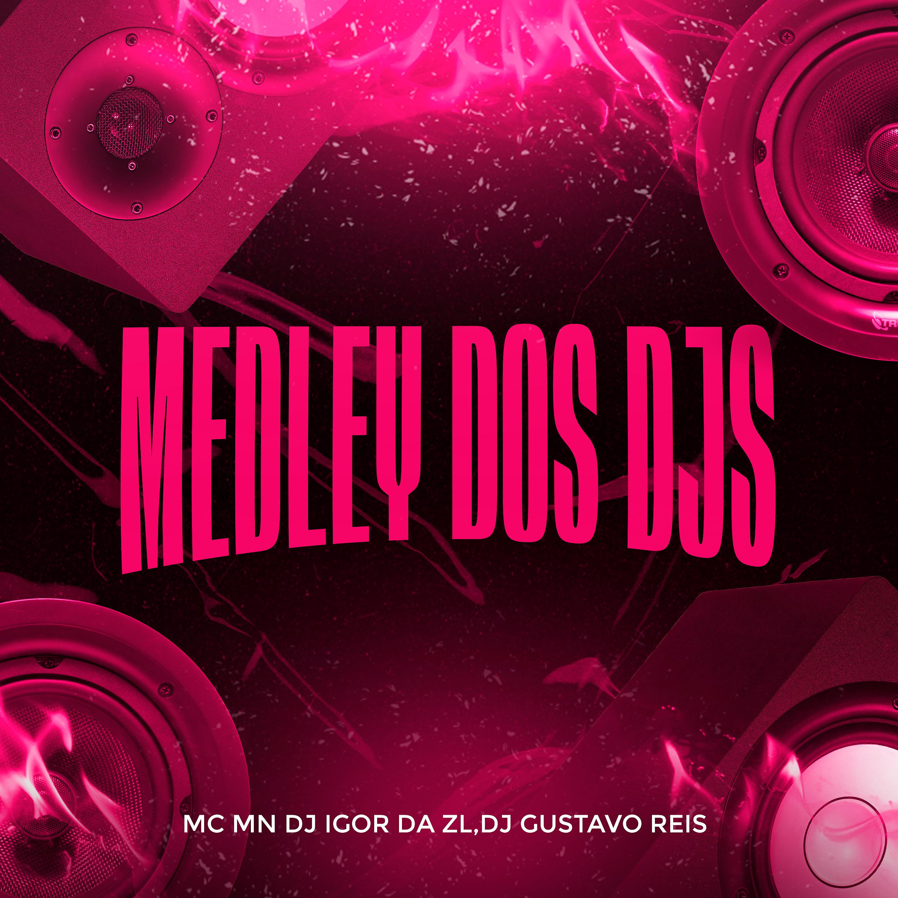 Постер альбома Medley dos Djs
