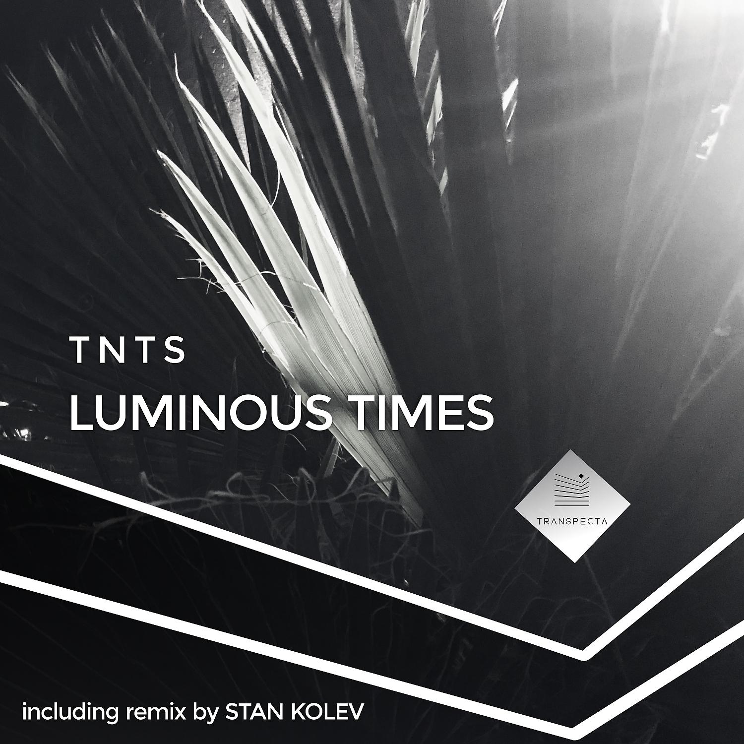 Постер альбома Luminous Times