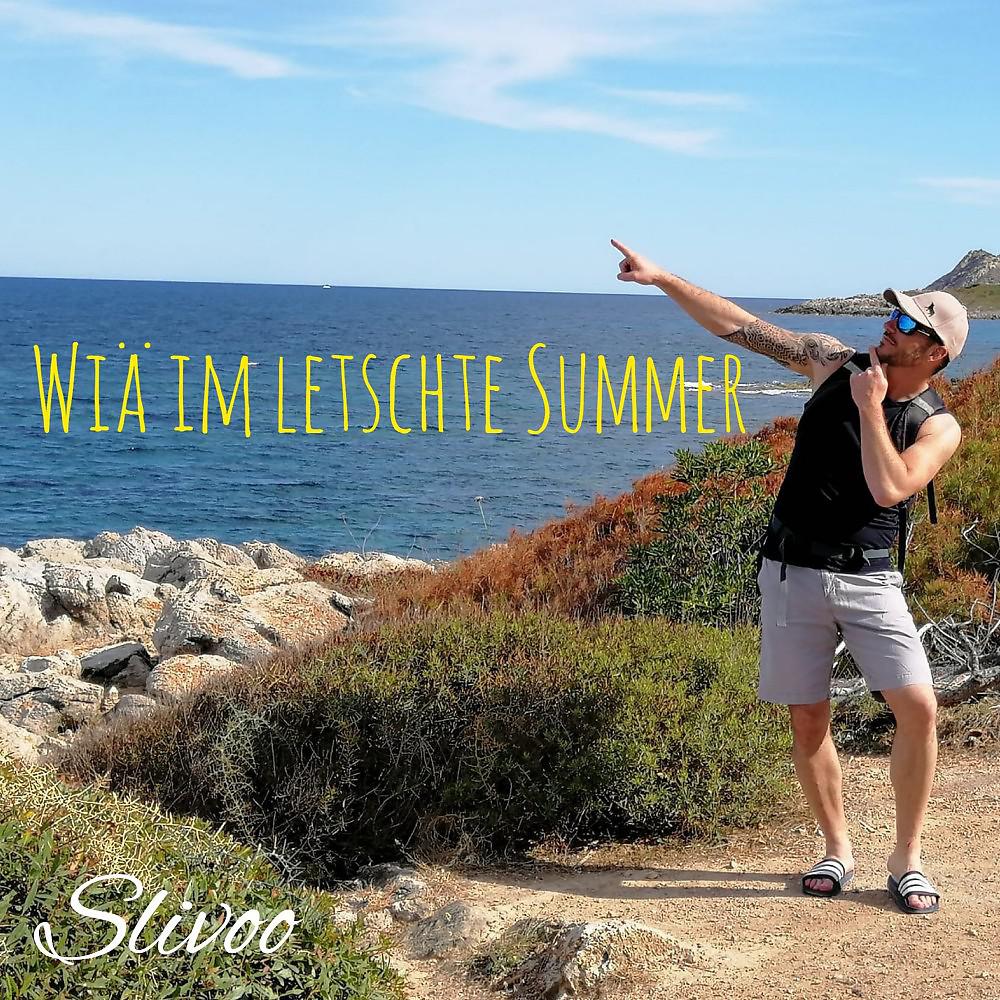 Постер альбома Wiä im letschte Summer