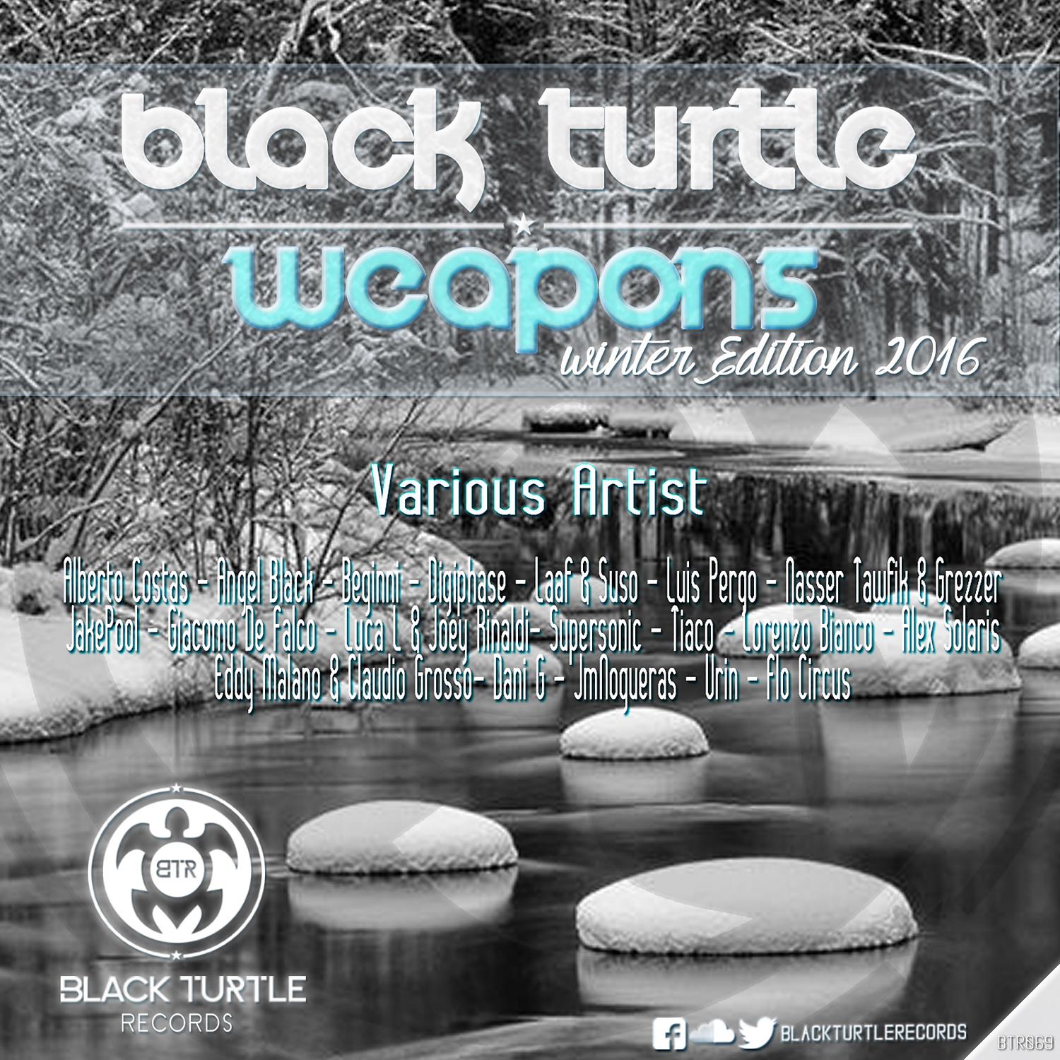 Постер альбома Black Turtle Weapons Winter Edition 2016