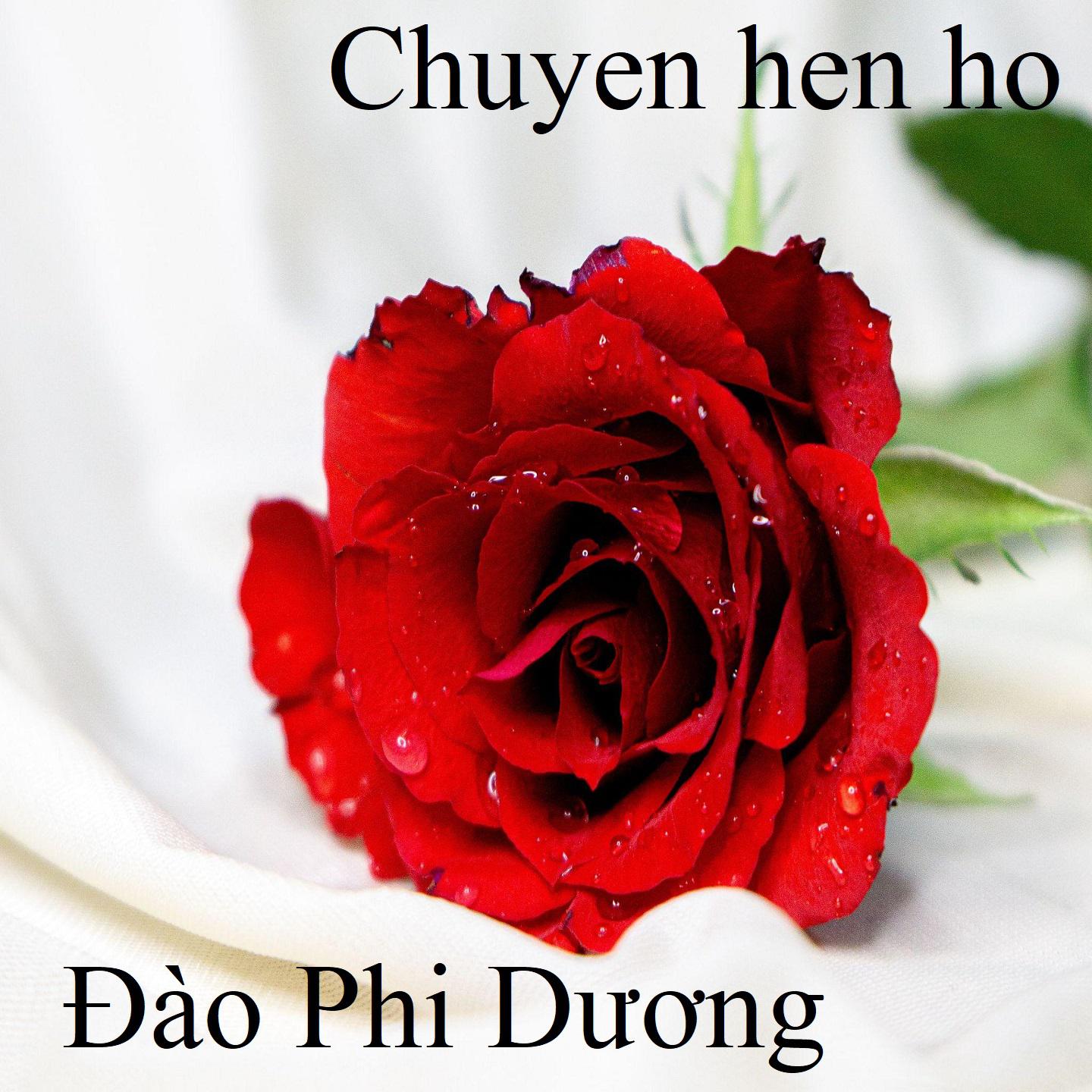Постер альбома Chuyen hen ho